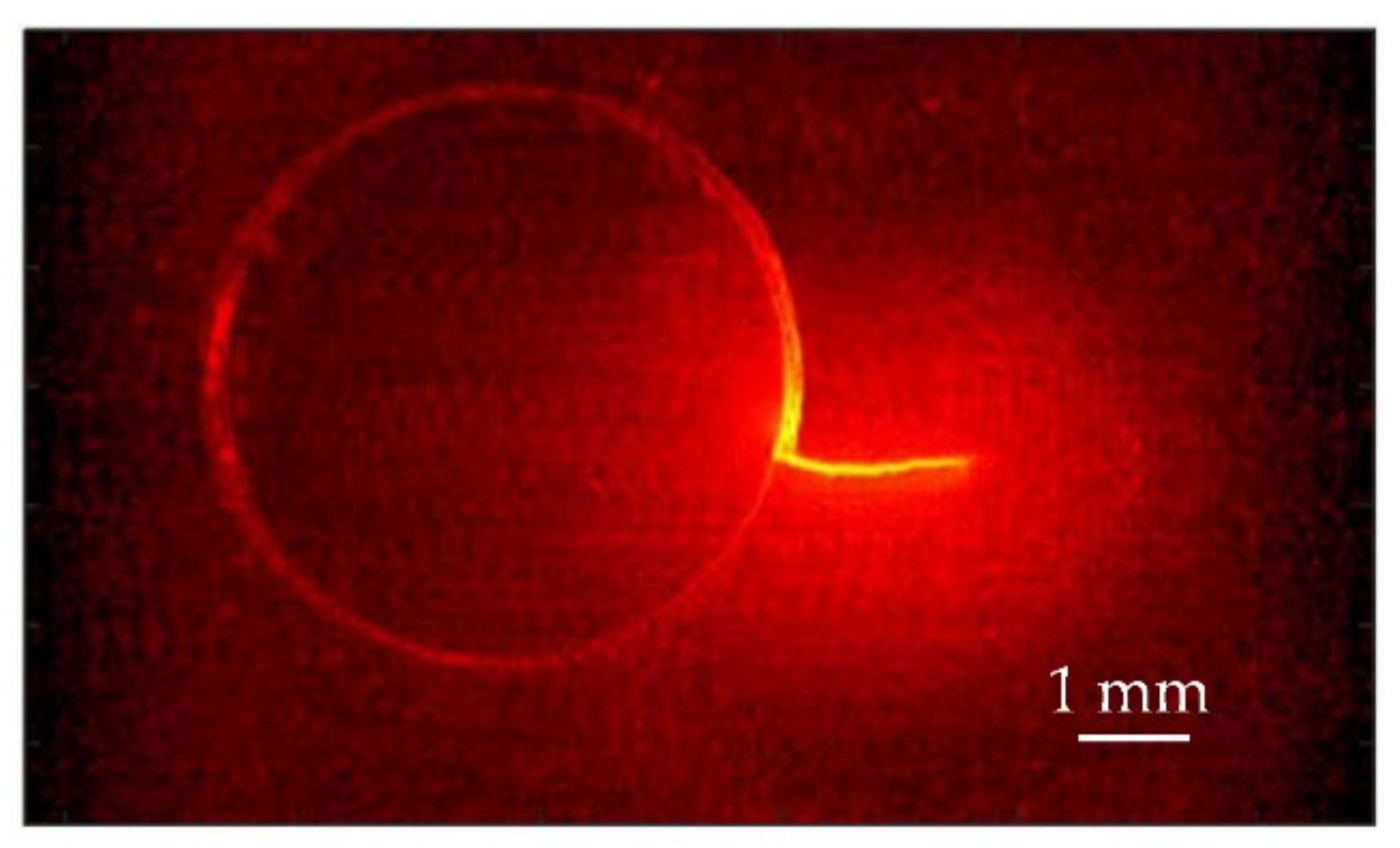 Materials 14 05644 g008