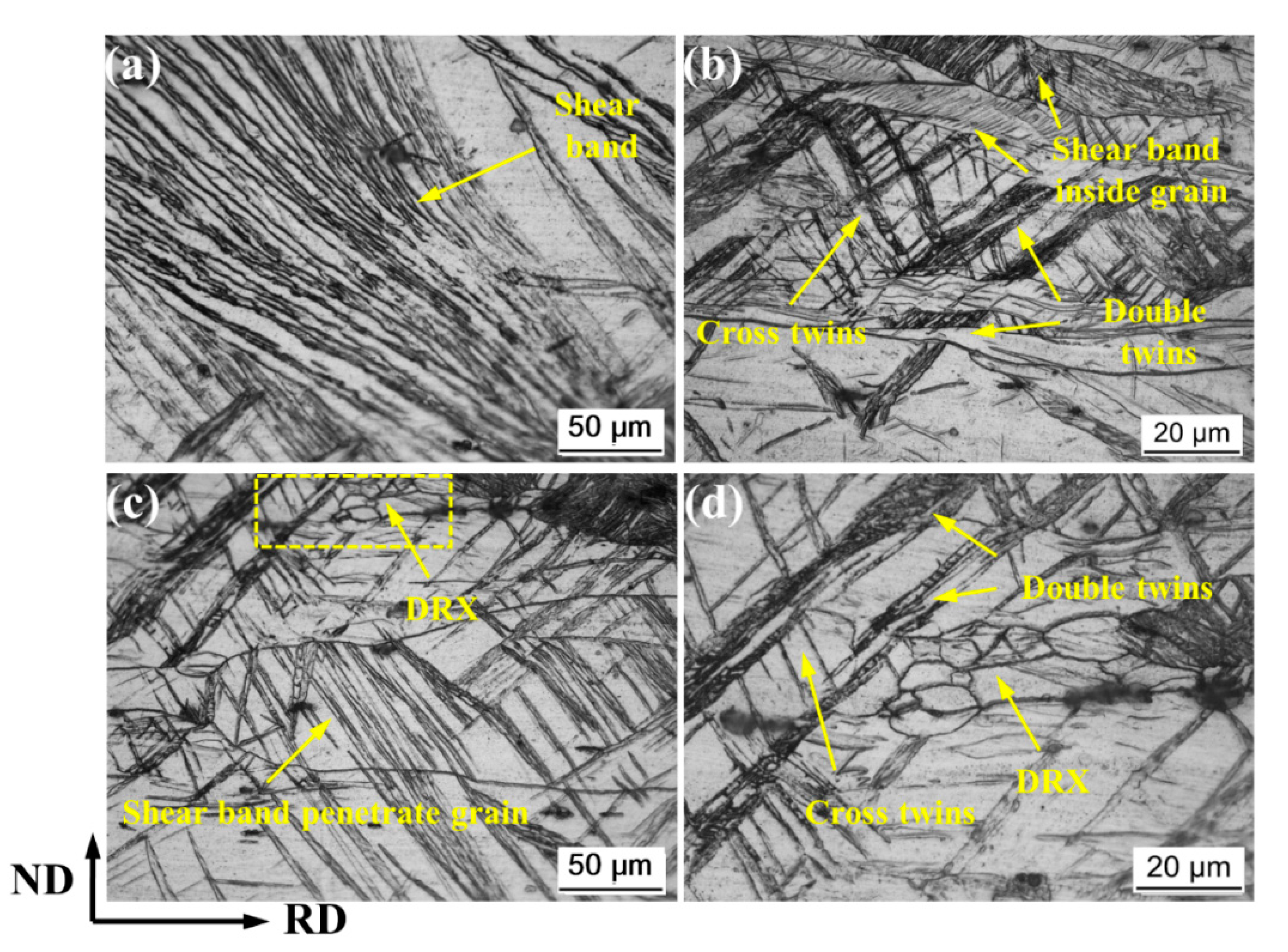 Materials 14 05668 g003