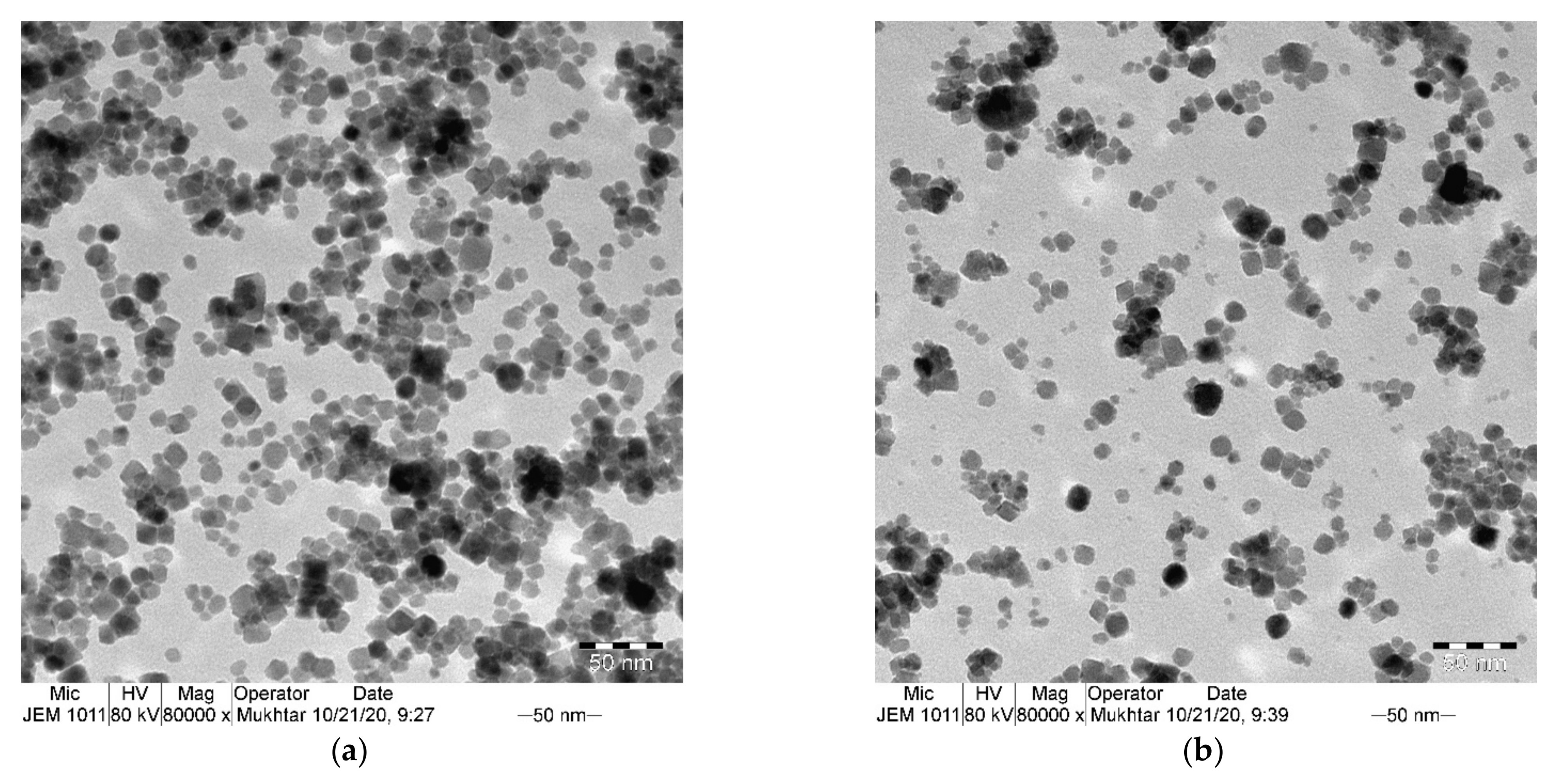 Materials 14 05691 g003a