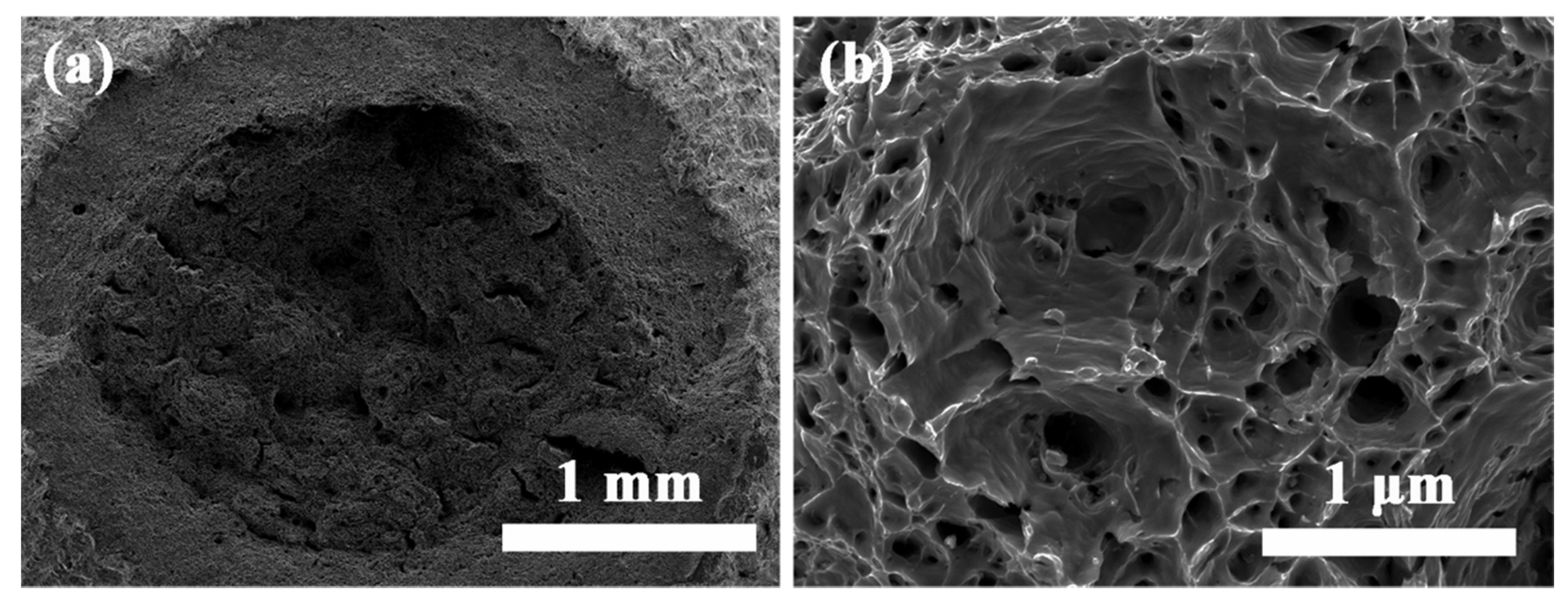 Materials 14 05696 g009