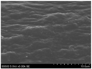 Materials 14 05699 i002