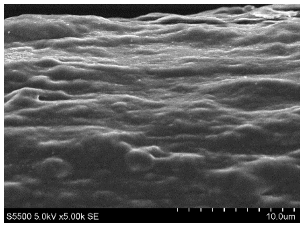 Materials 14 05699 i004