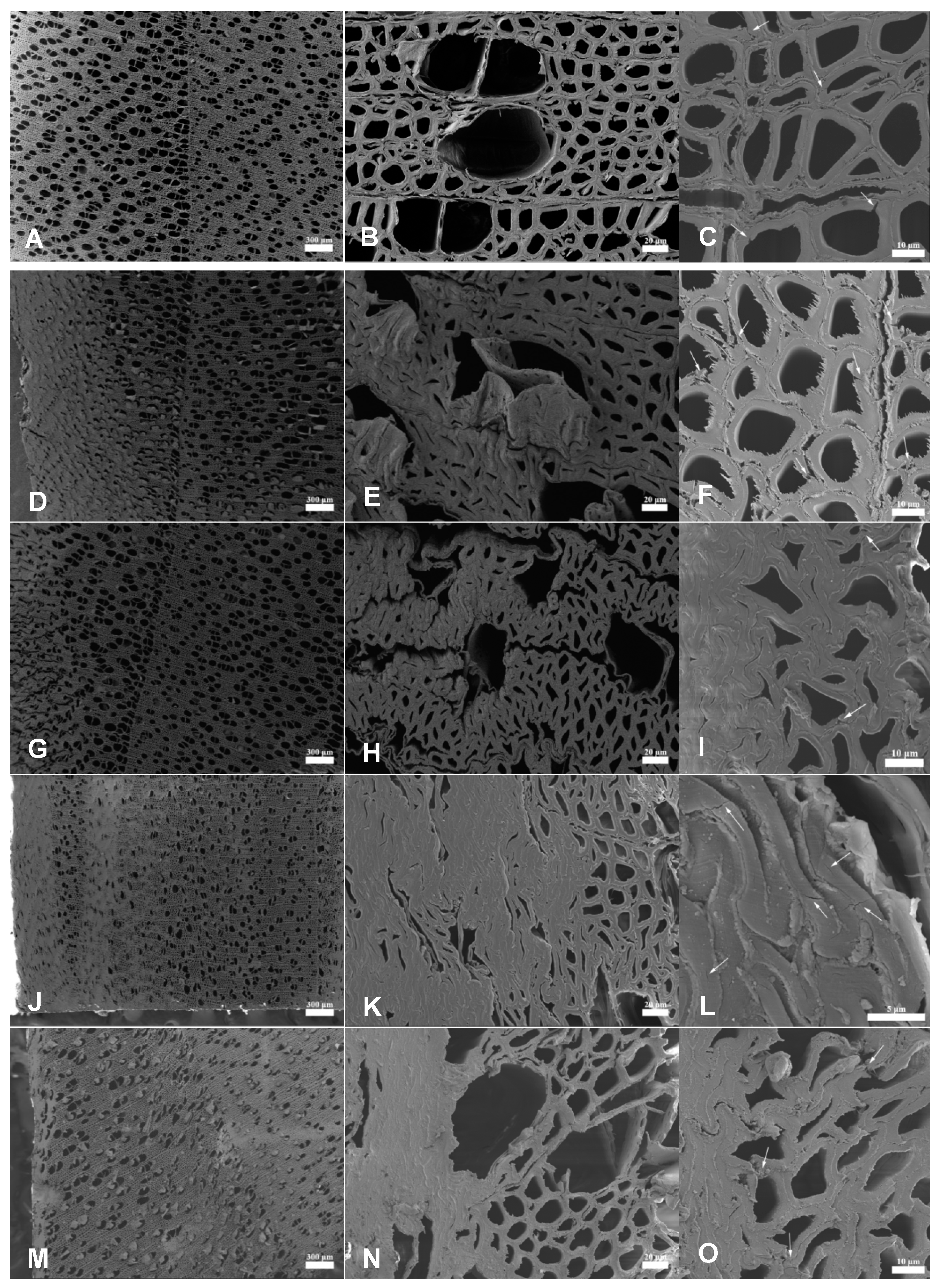 Materials 14 05709 g002