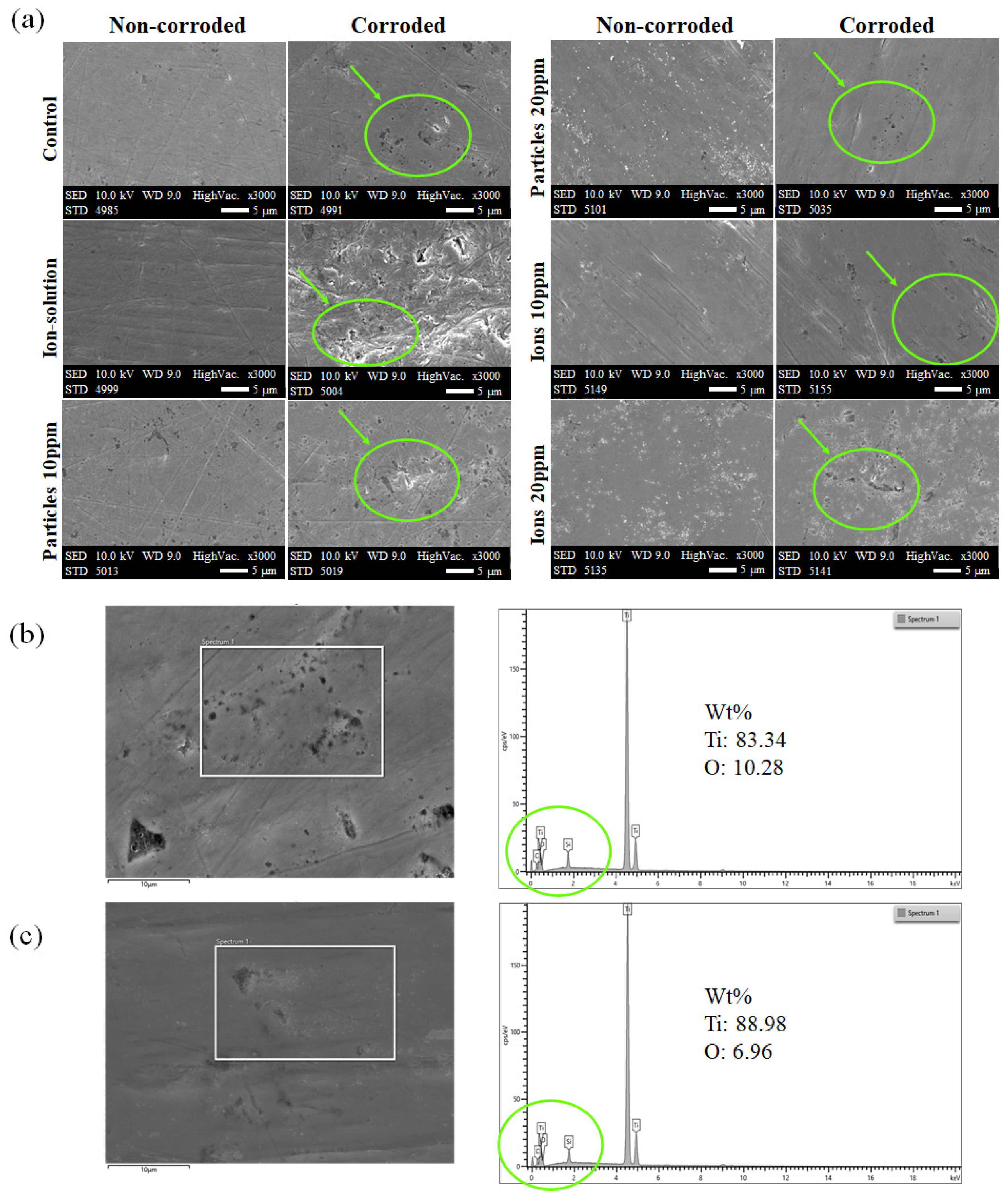 Materials 14 05733 g007