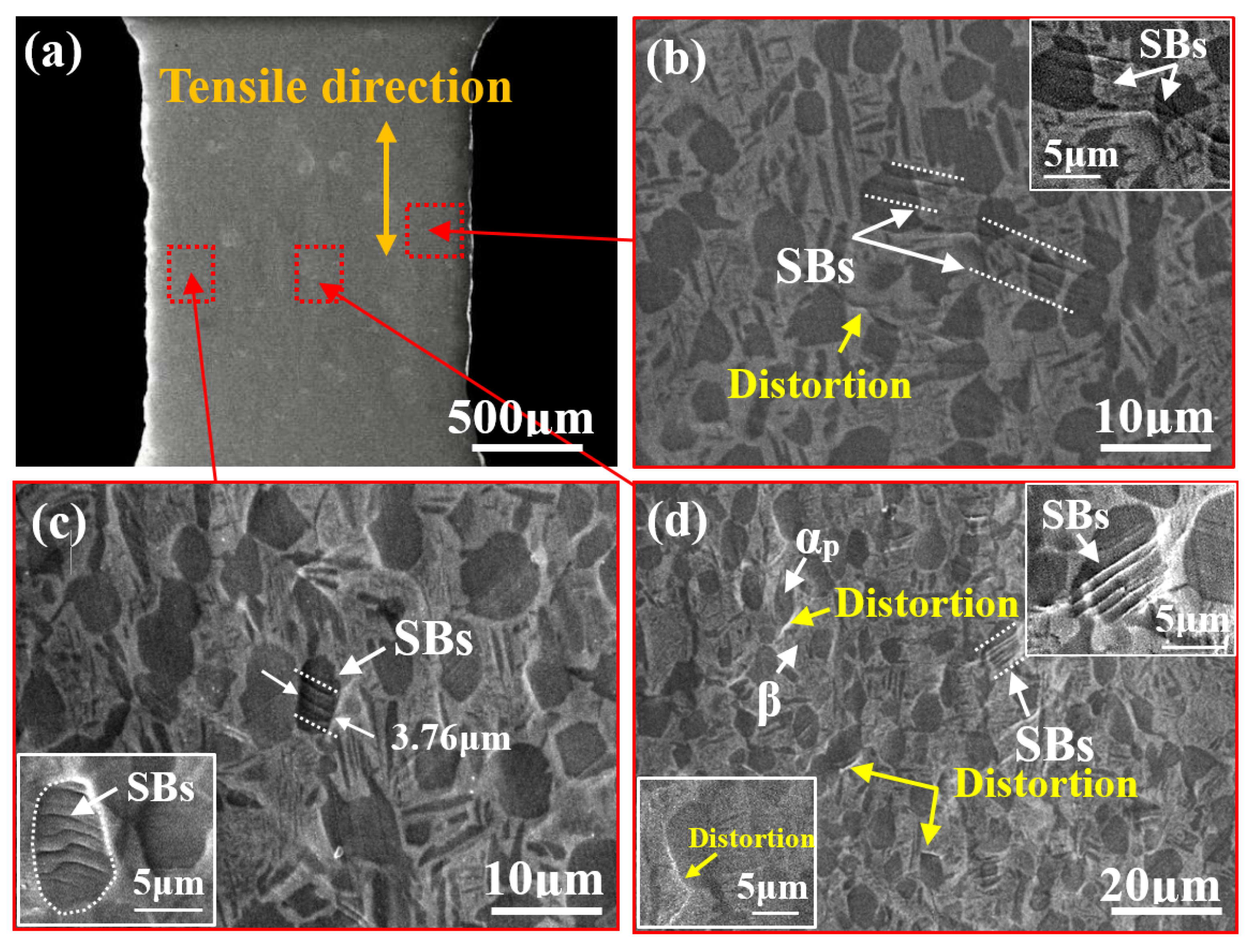 Materials 14 05794 g005