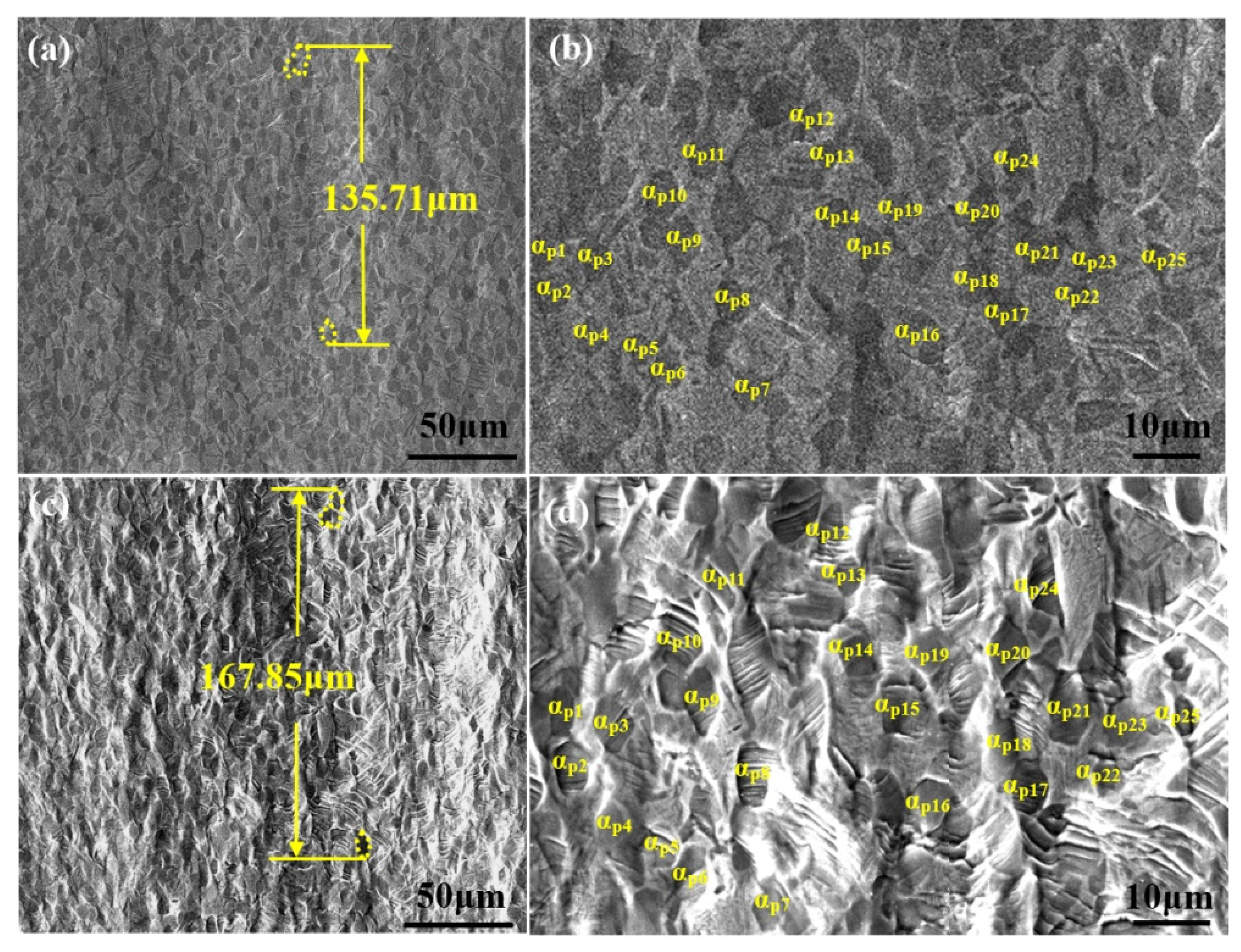 Materials 14 05794 g008