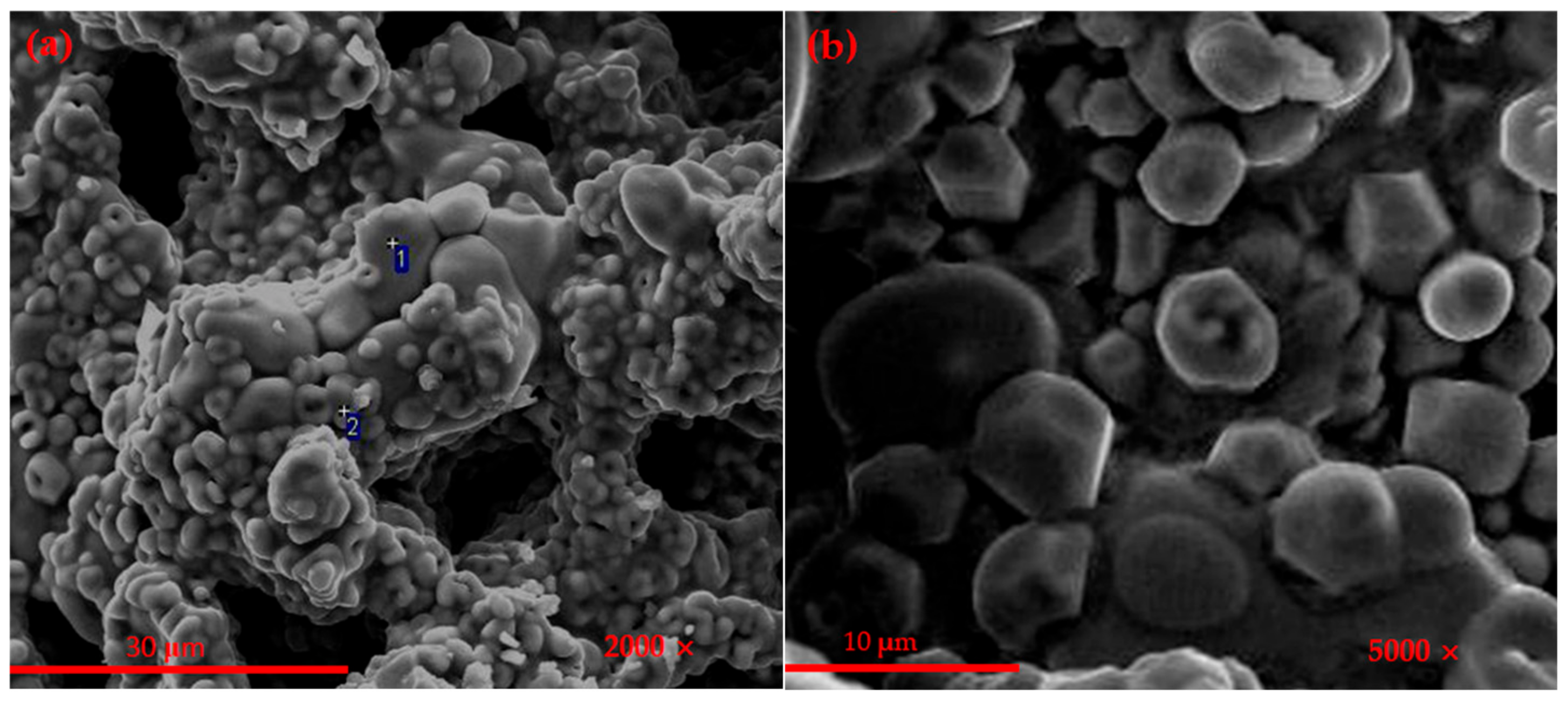 Materials 14 05813 g003a