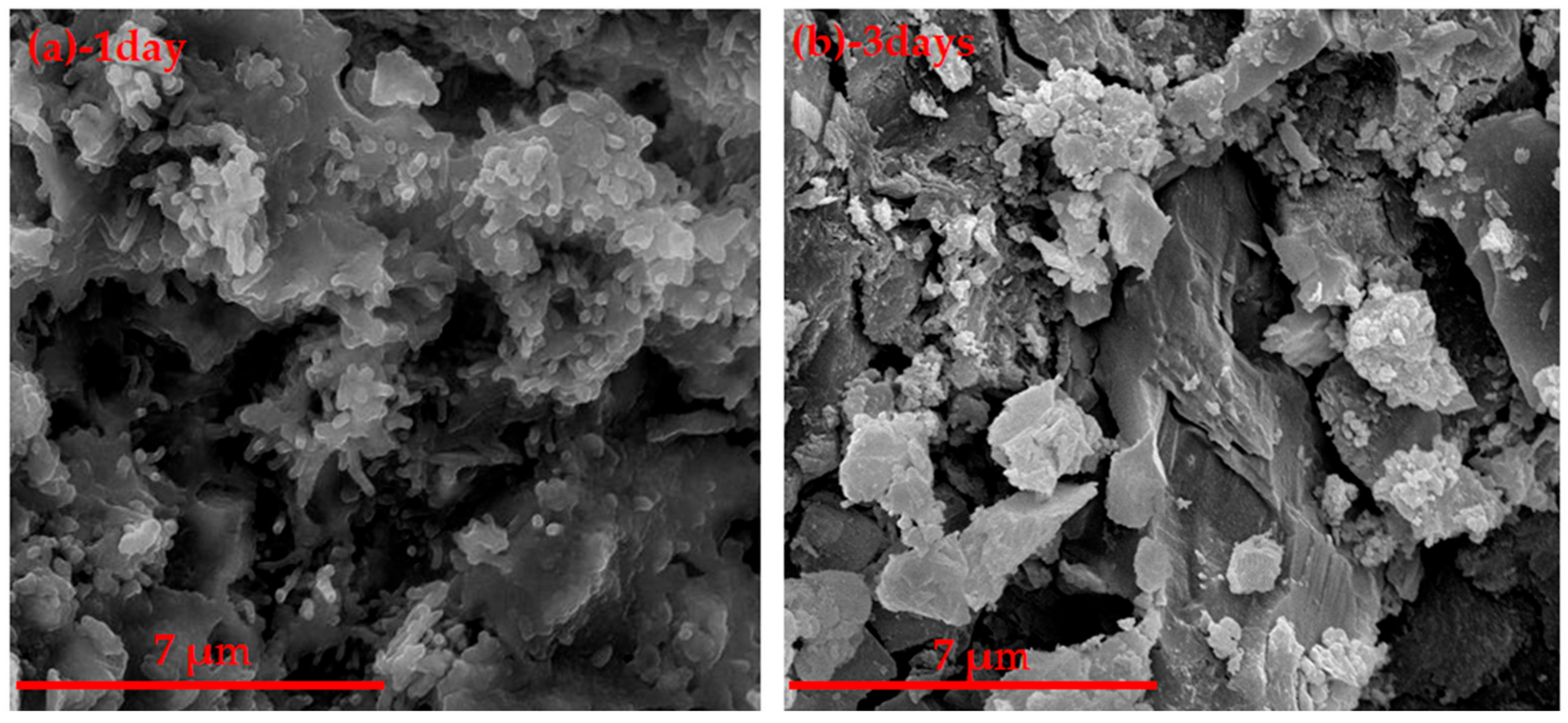 Materials 14 05813 g019