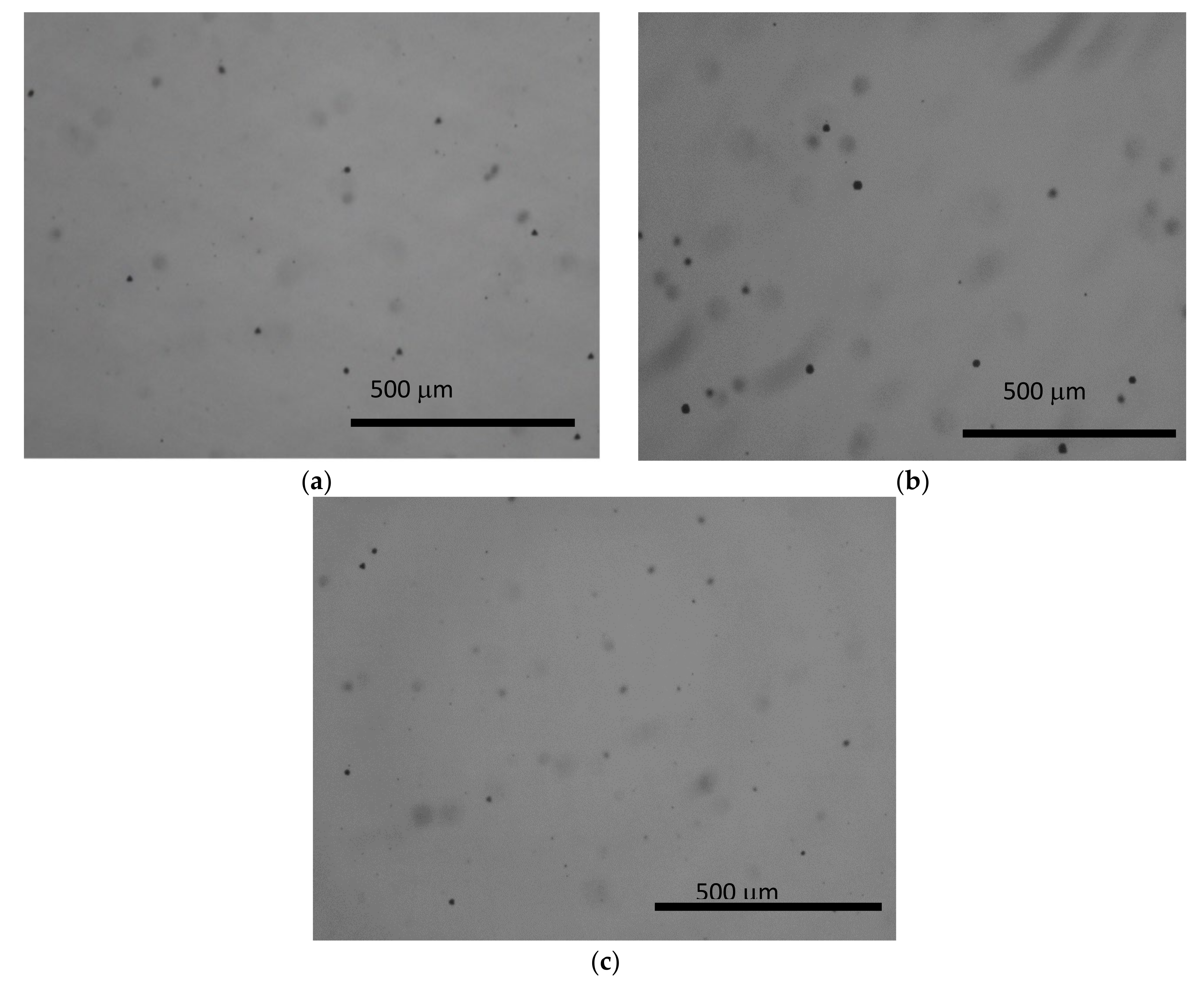 Materials 14 05825 g003