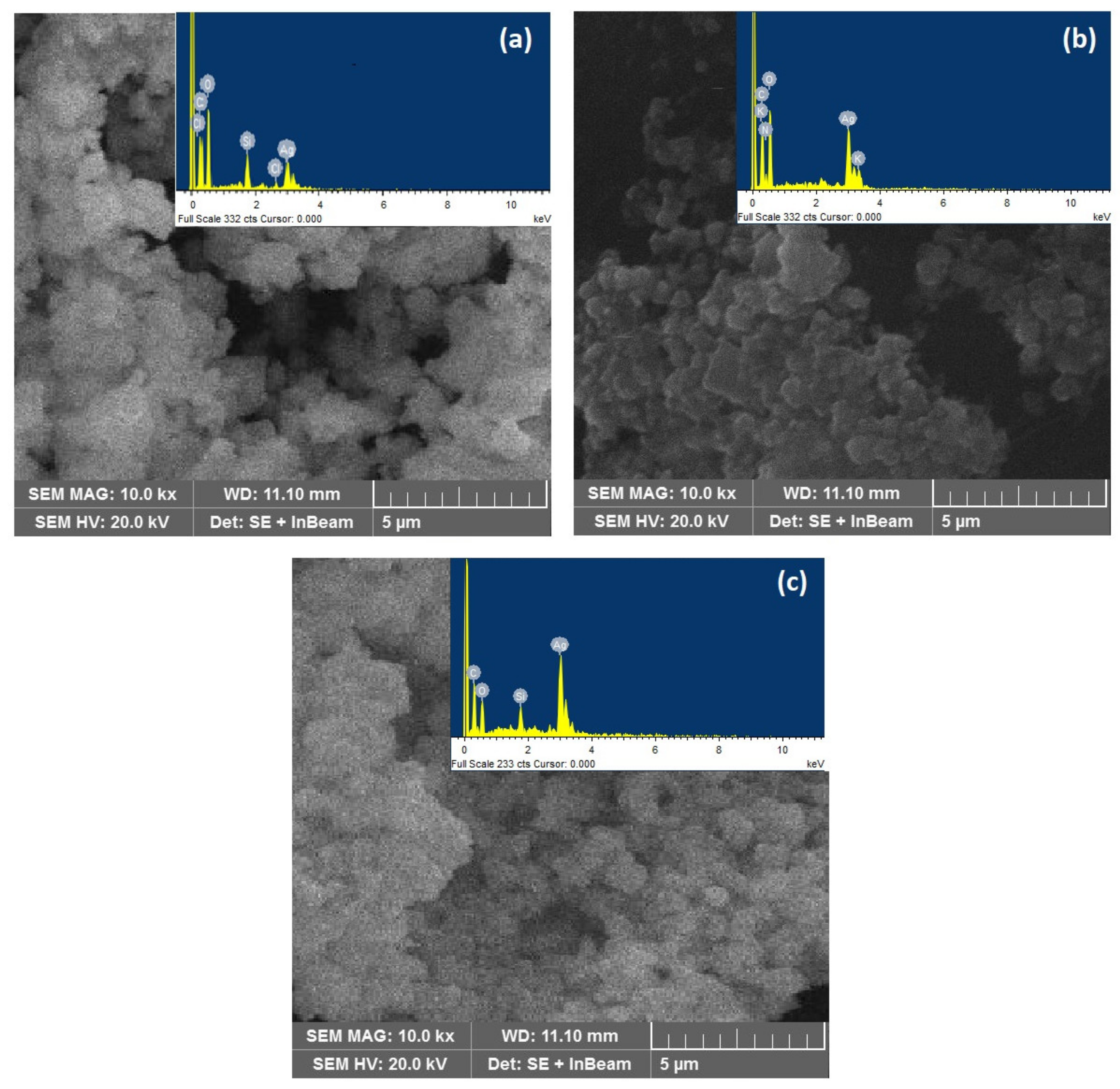 Materials 14 05841 g008