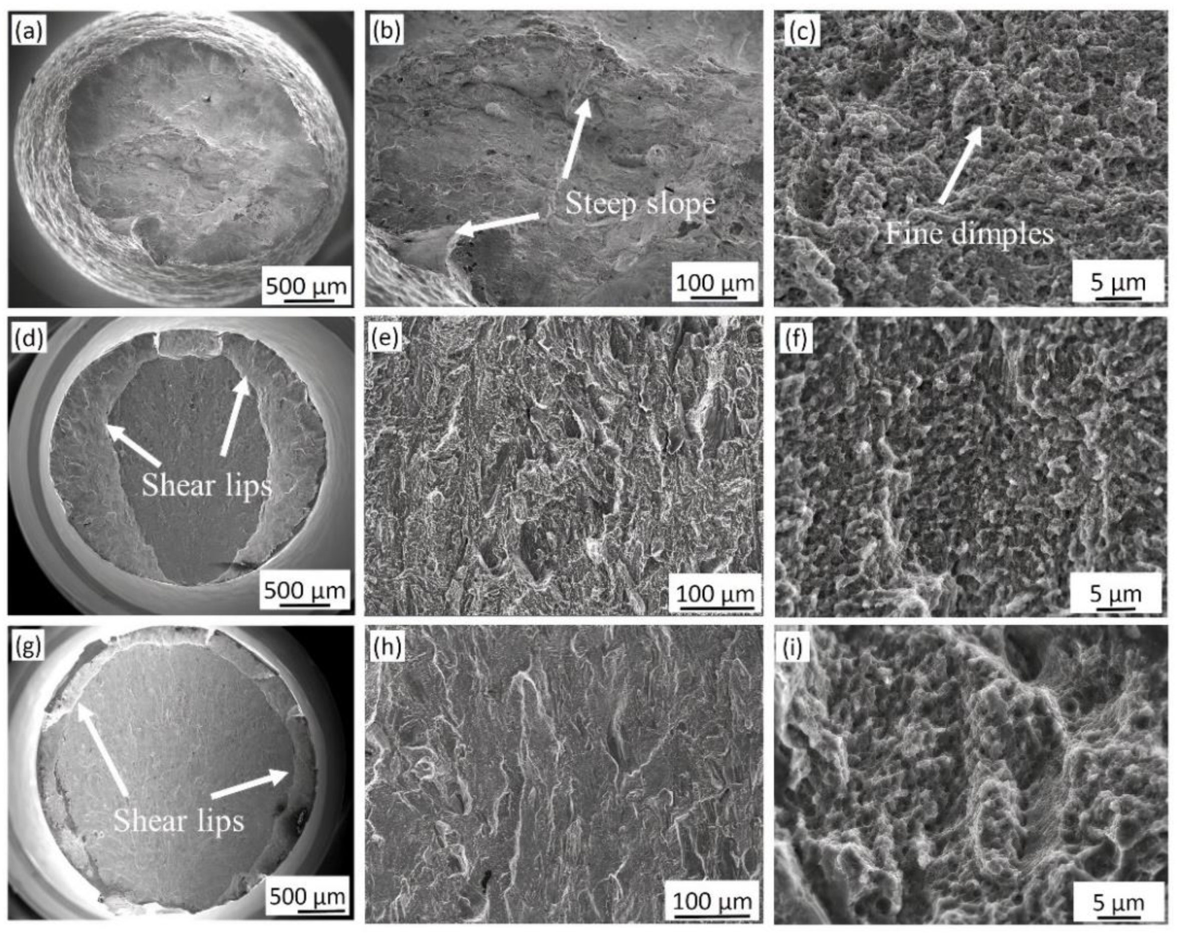 Materials 14 05856 g004