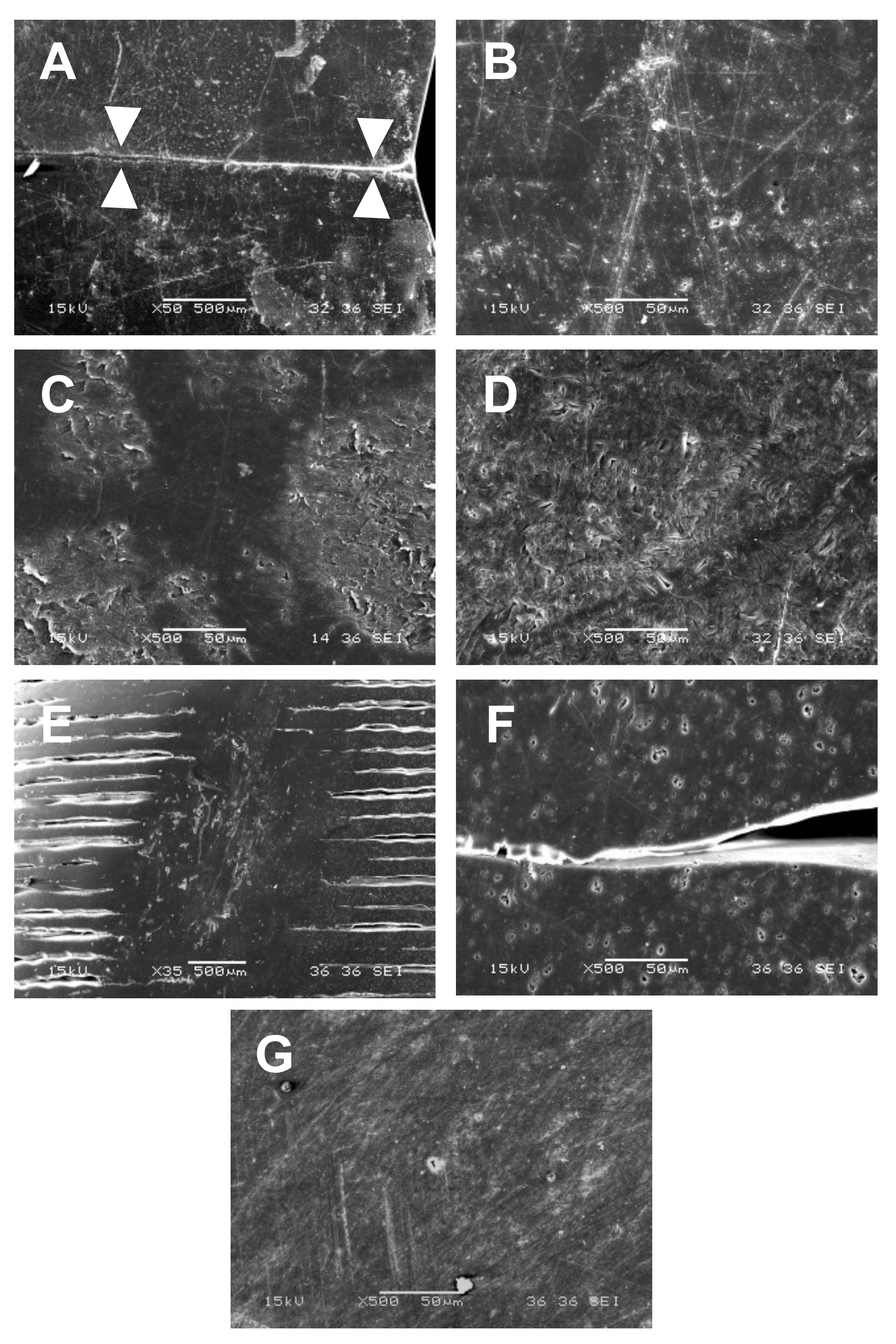 Materials 14 05868 g006 Materials 14 05868 g006