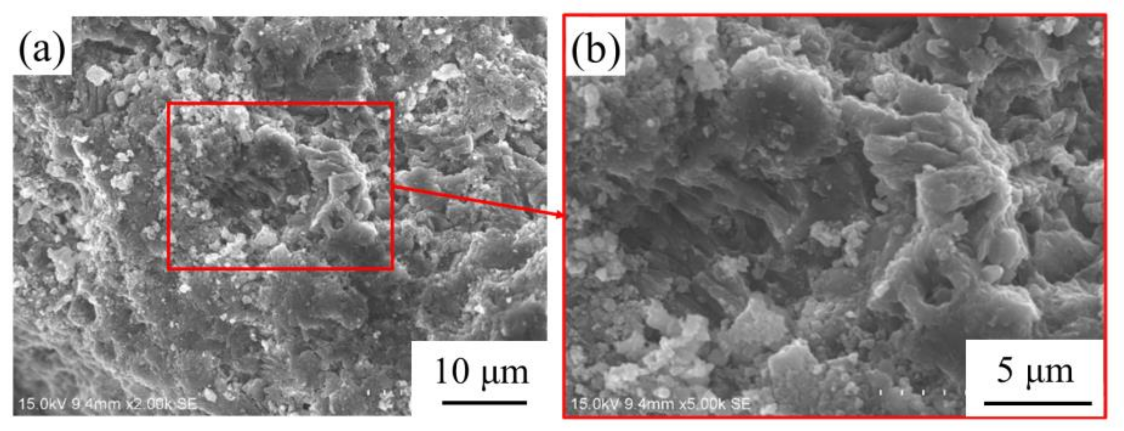 Materials 14 05871 g003