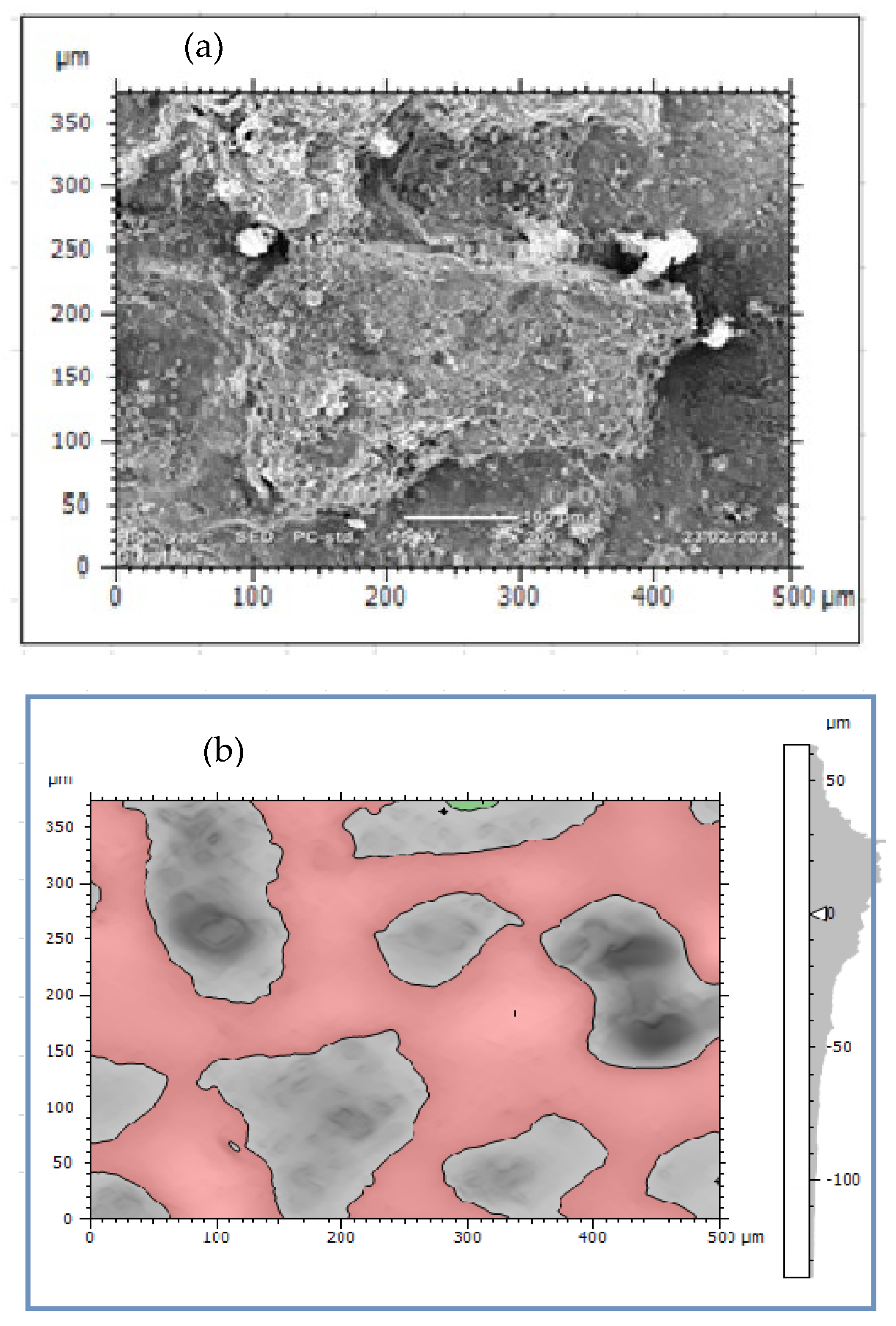 Materials 14 05877 g005