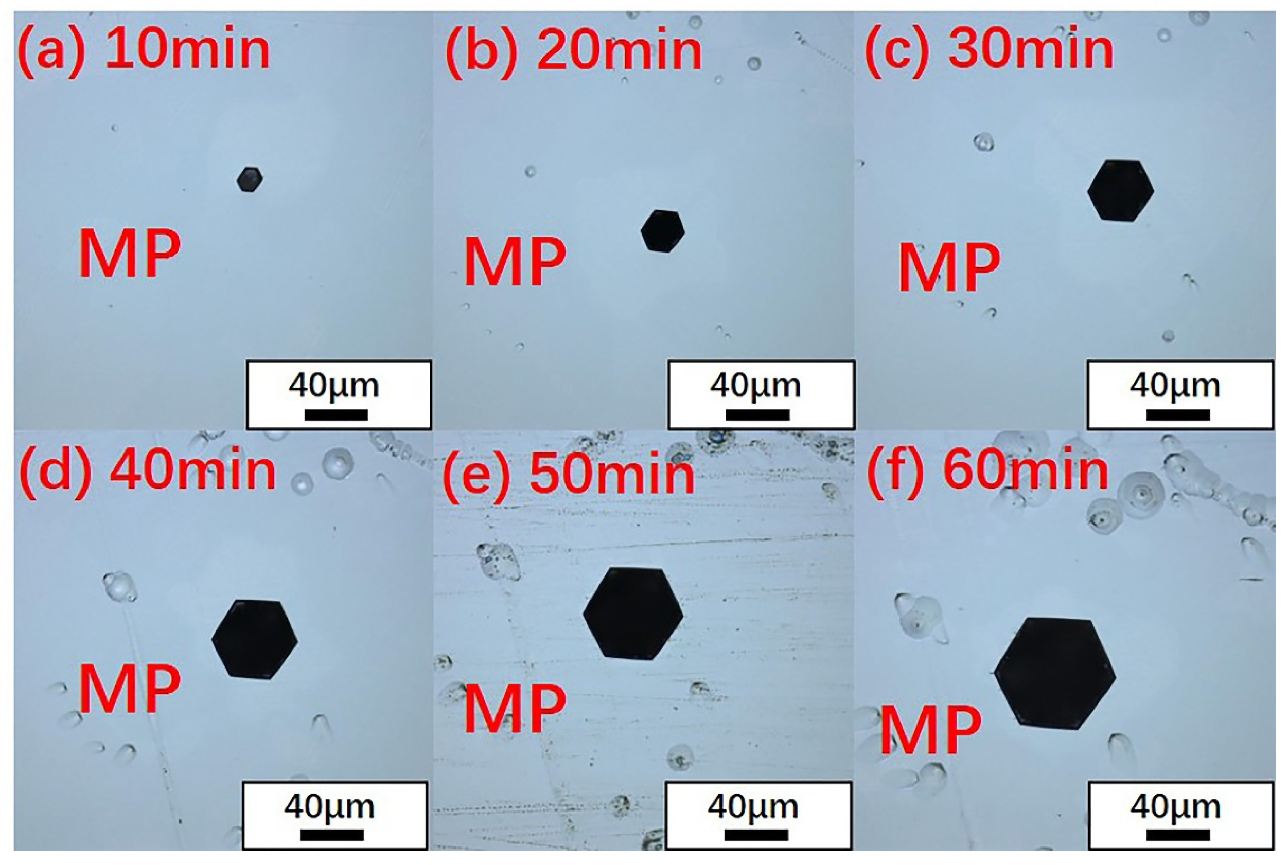 Materials 14 05890 g004