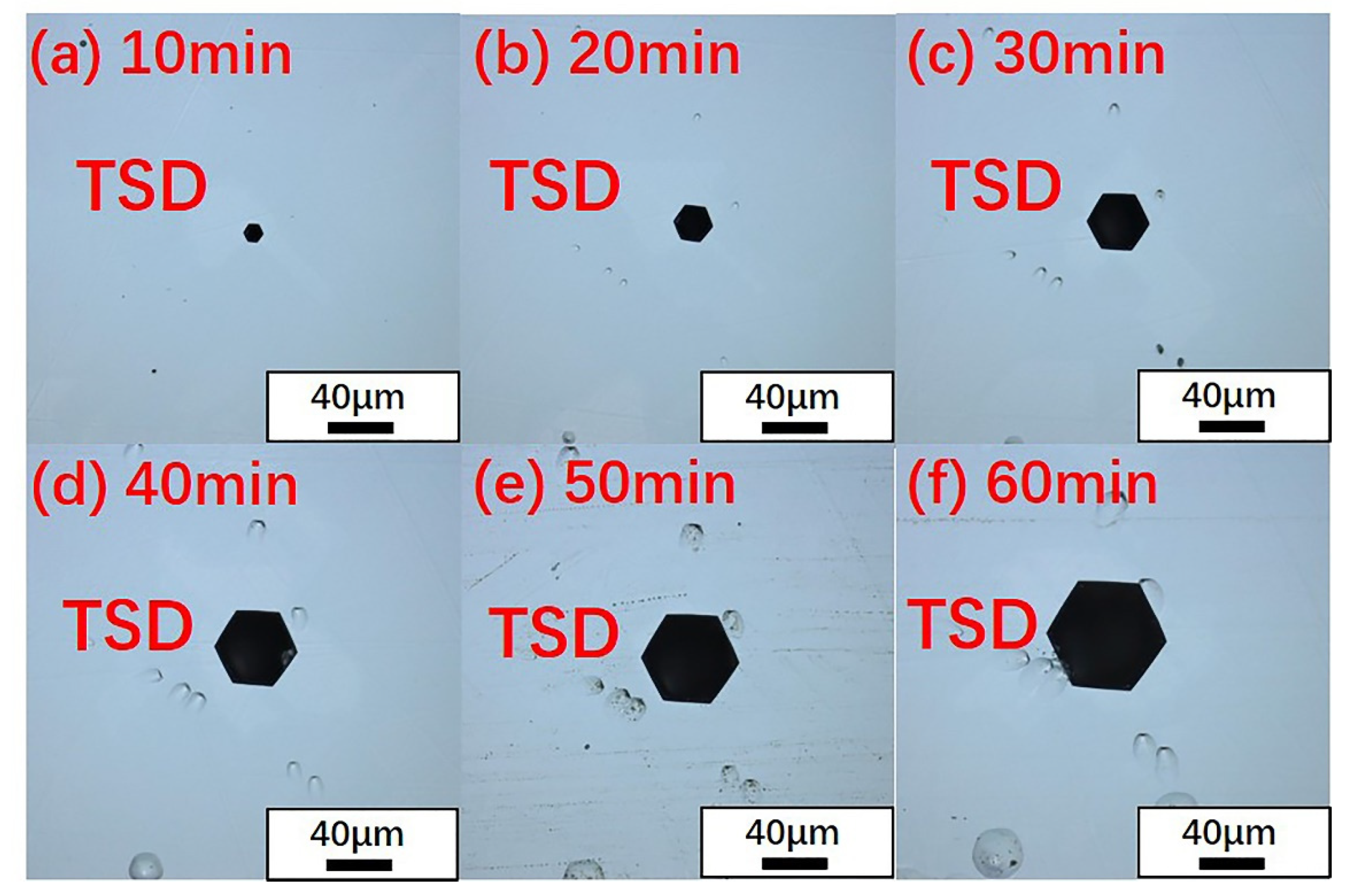 Materials 14 05890 g005