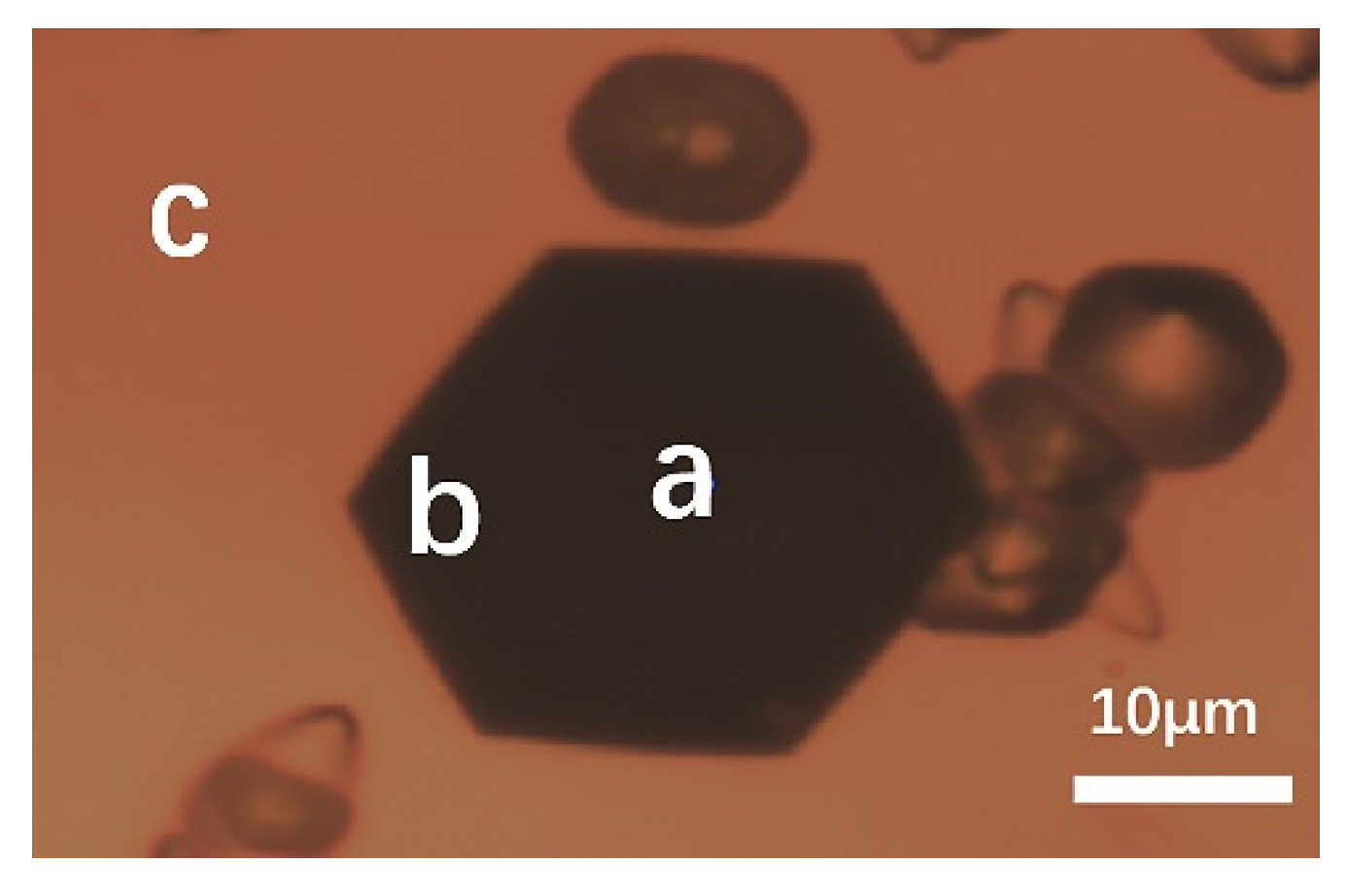 Materials 14 05890 g011