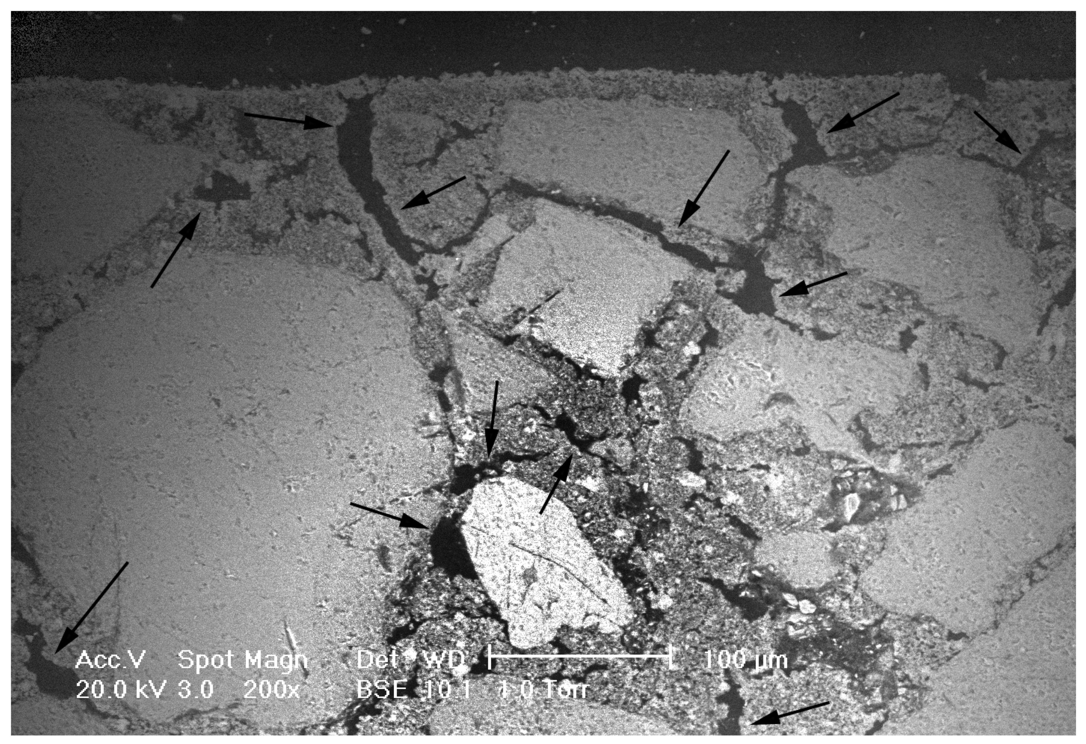 Materials 14 05939 g005