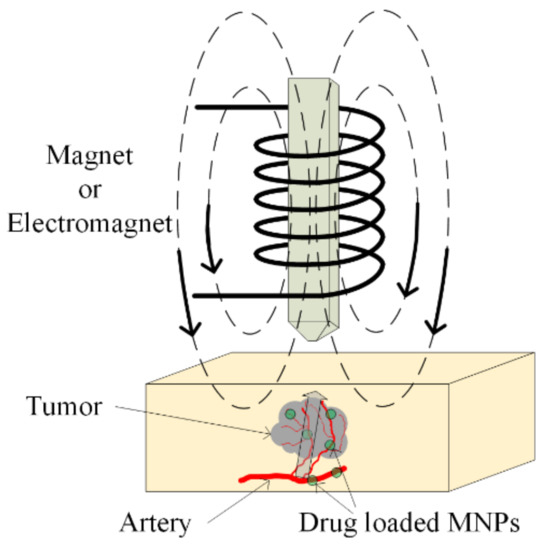 What is a magnet? Learn from Magnet University 4 - ALB Materials Inc