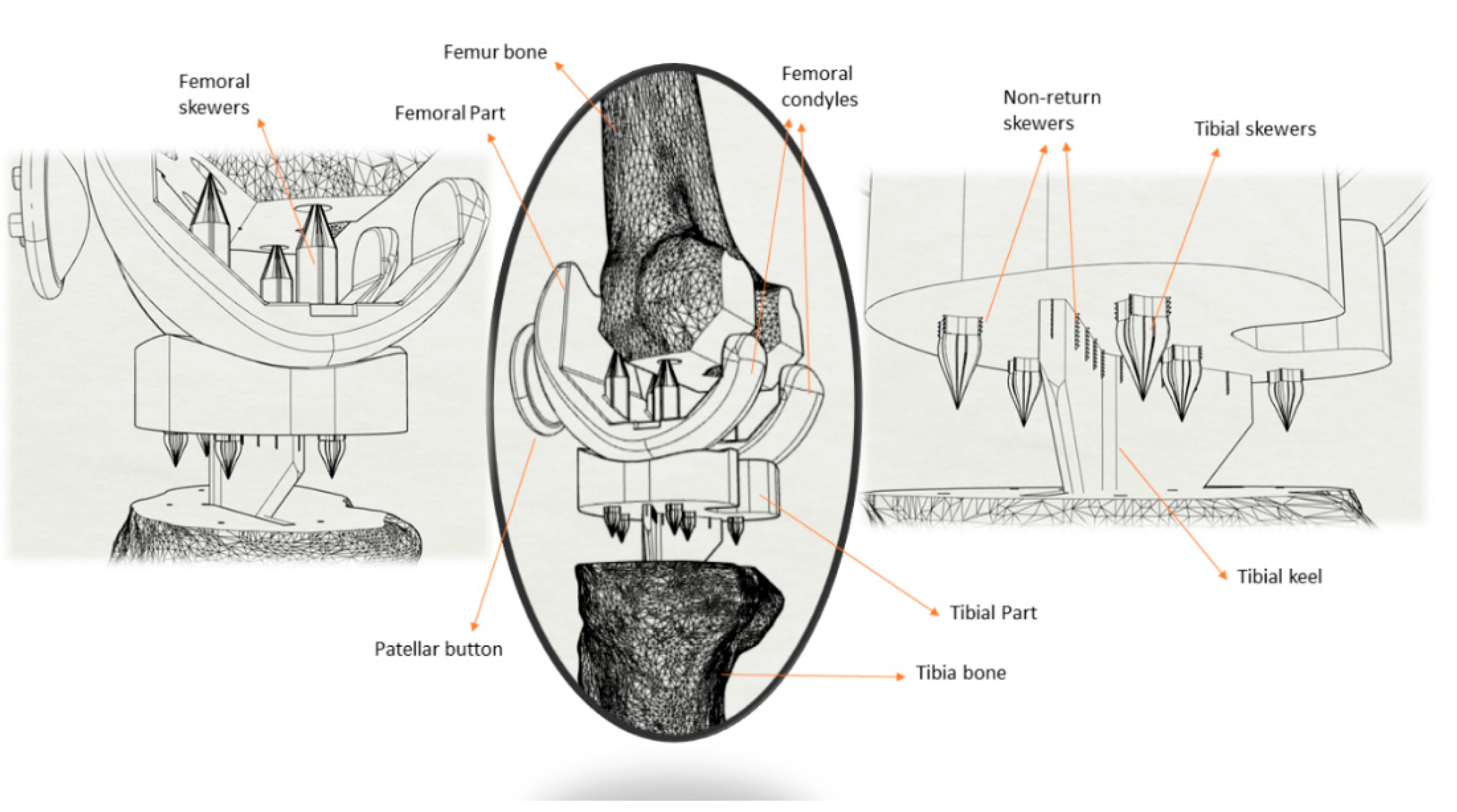 Materials 14 05951 g002