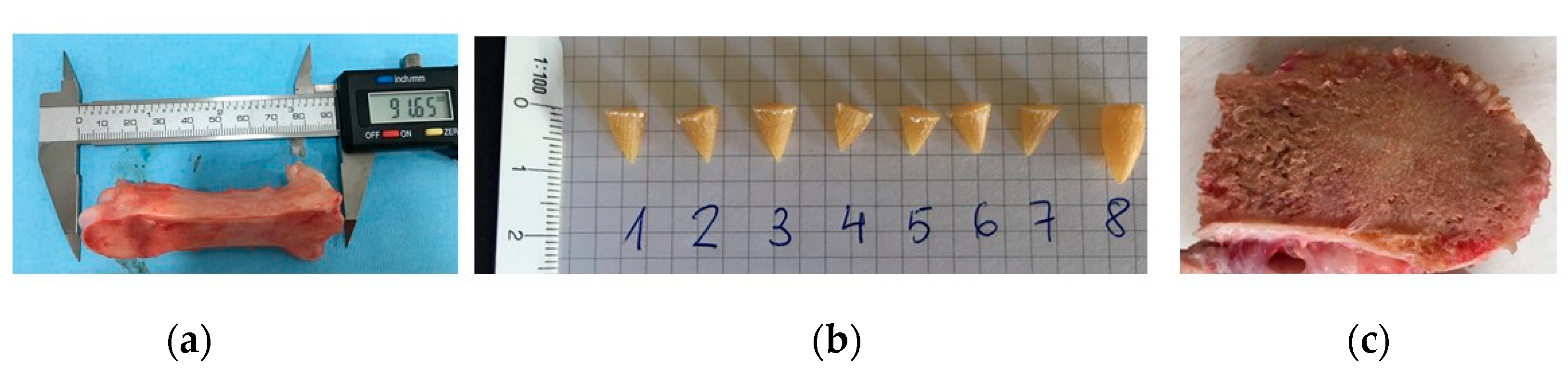 Materials 14 05951 g006