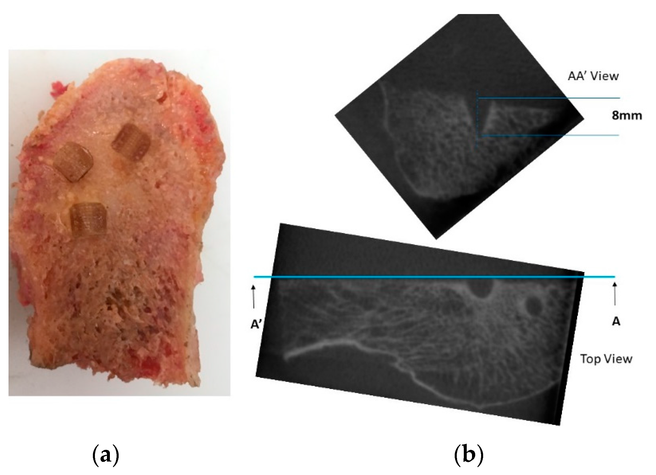 Materials 14 05951 g010