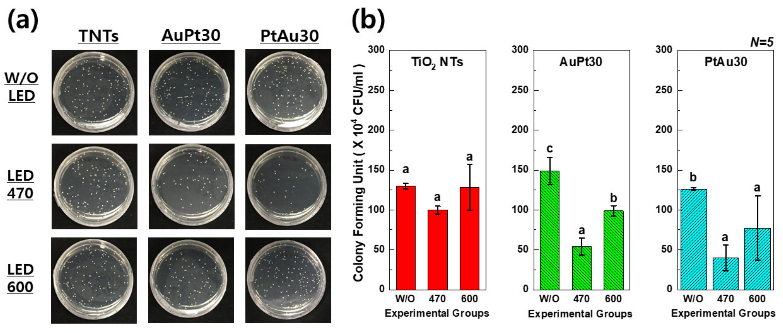 Materials 14 05976 g005