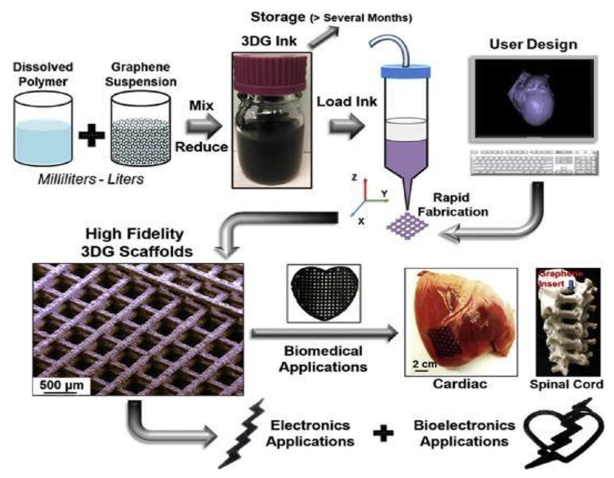 Materials | Free Full-Text | Biomedical Applications Of Carbon ...