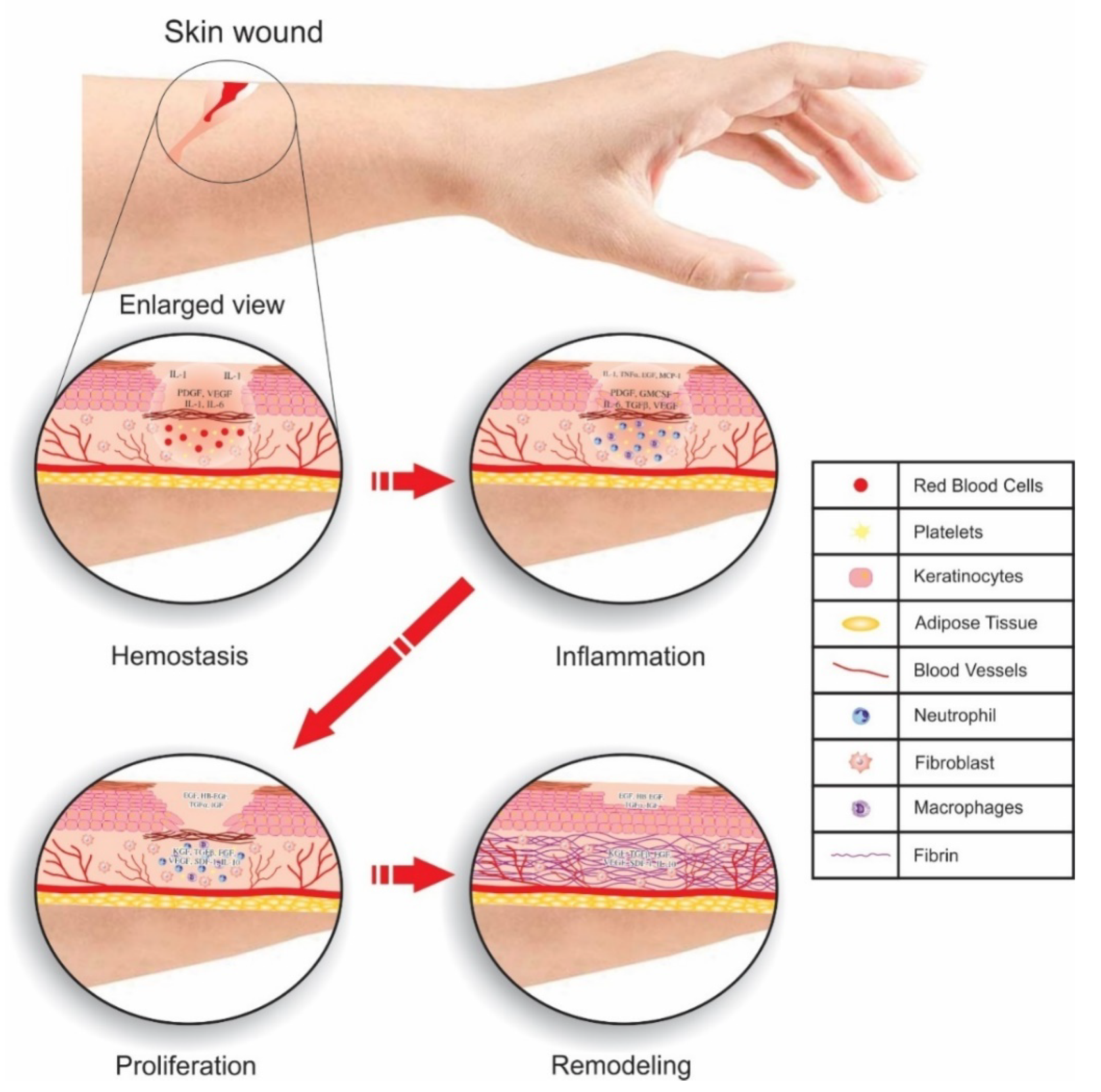 Materials 14 05978 g010