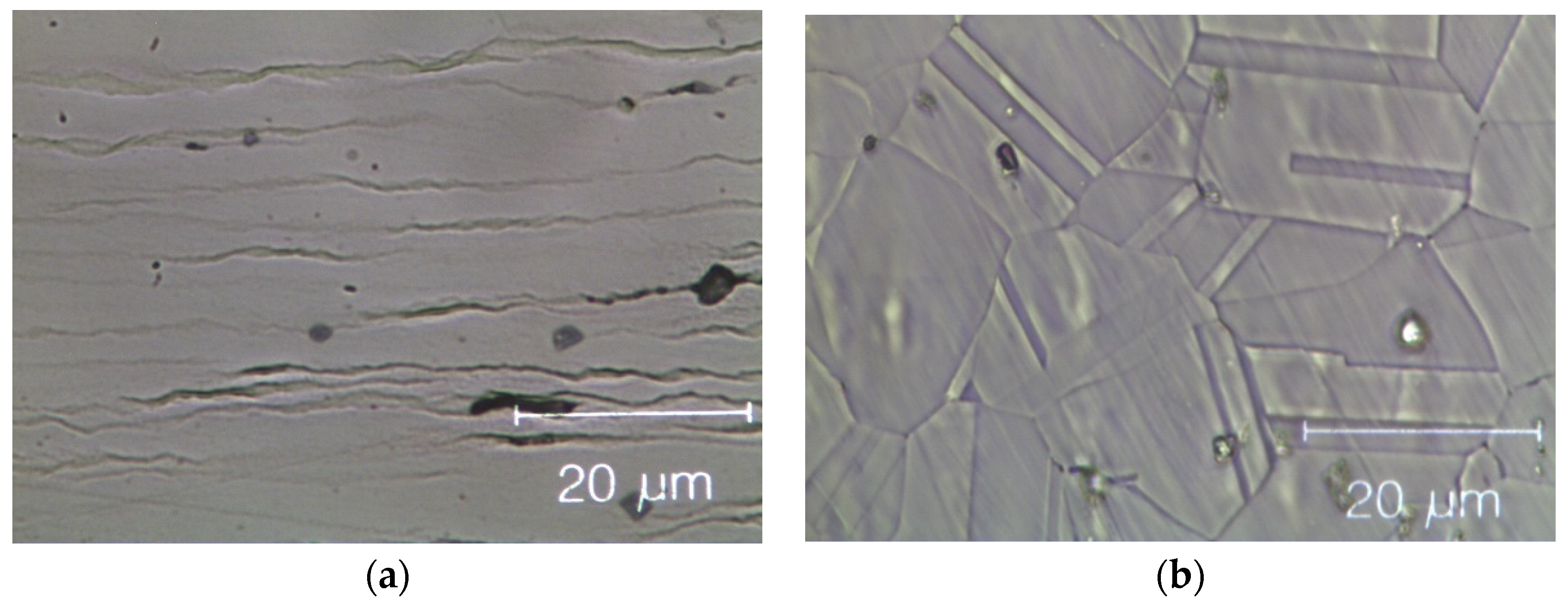 Materials 14 05994 g008a