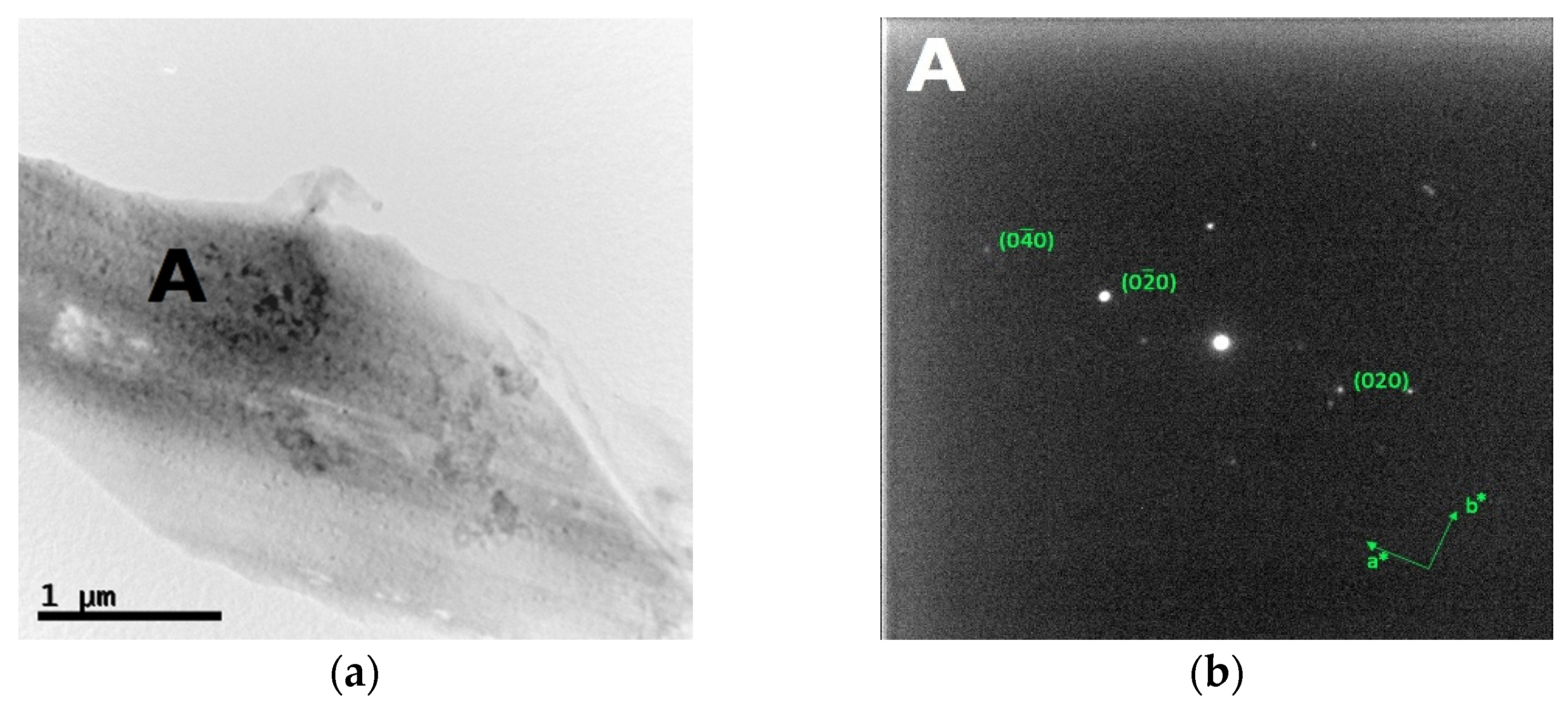 Materials 14 05994 g010