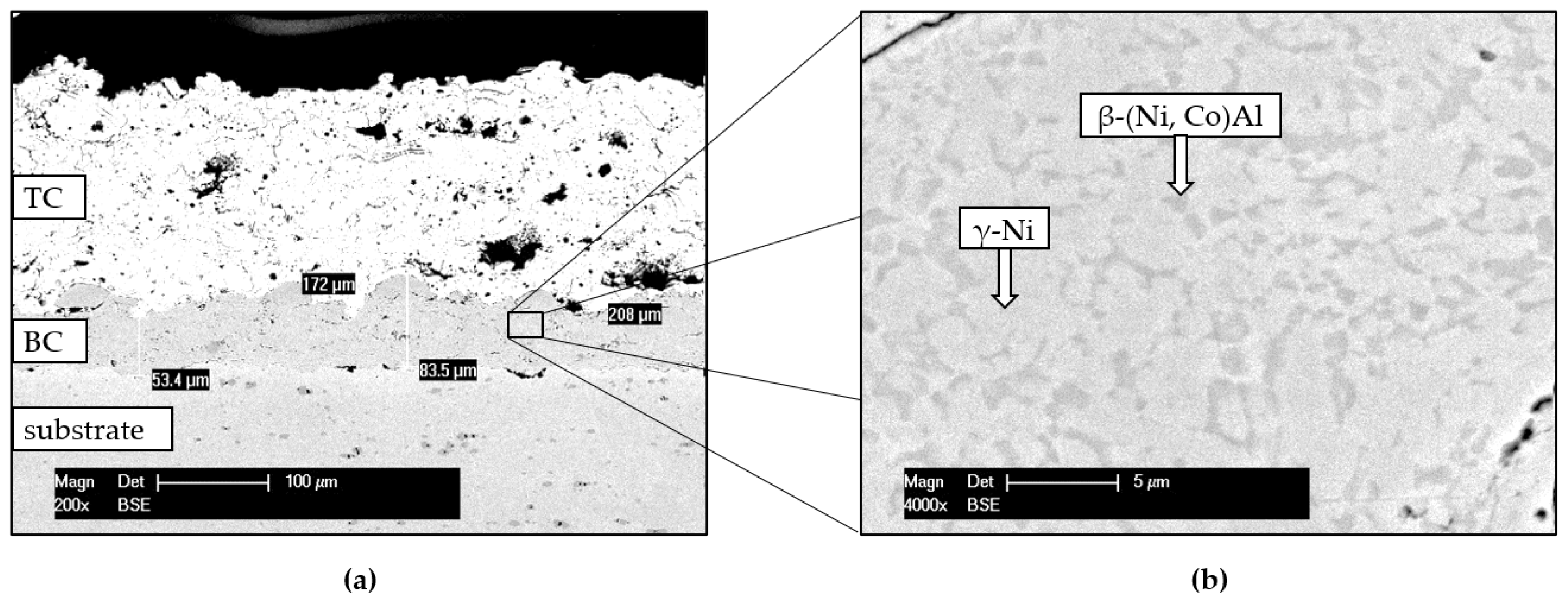 Materials 14 06040 g007