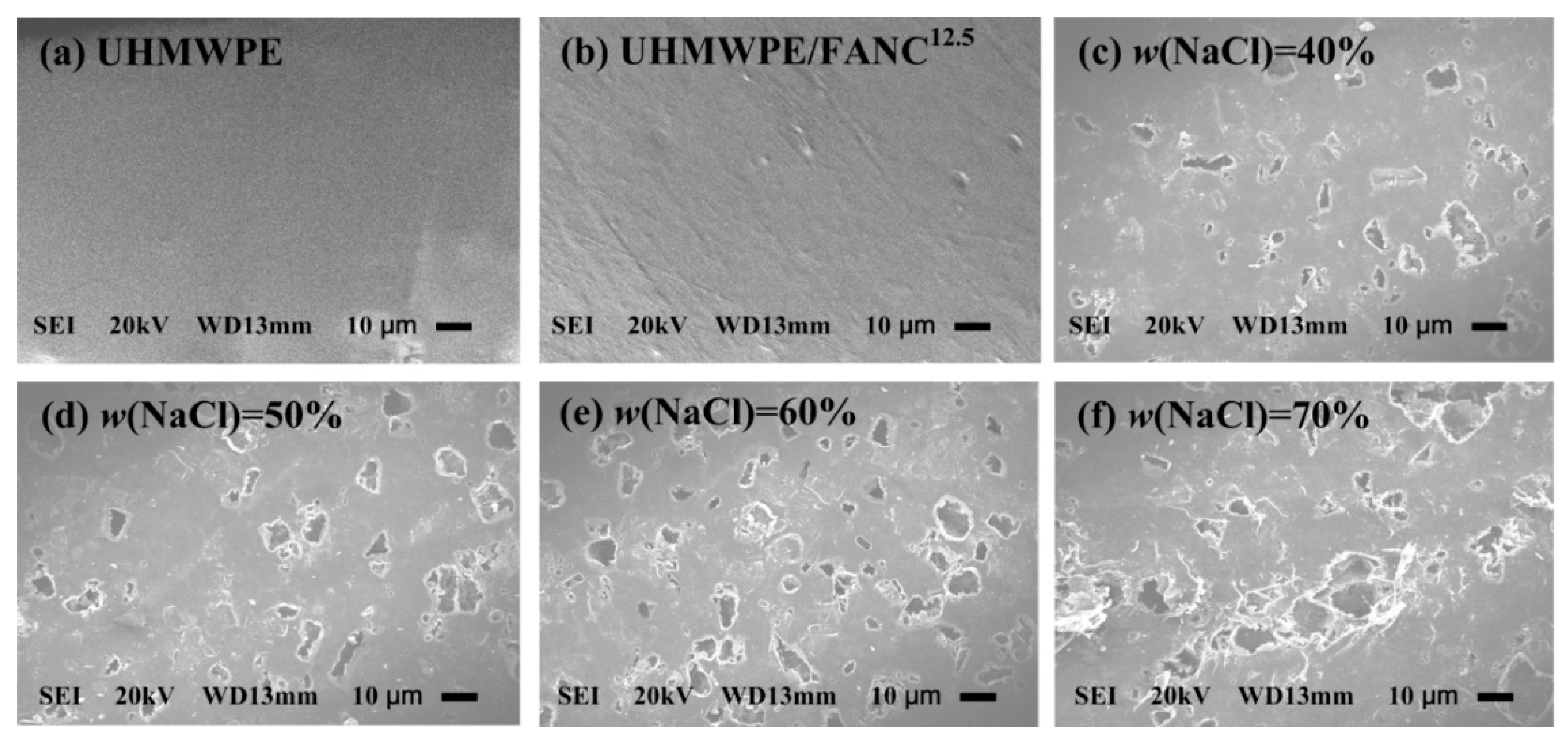 Materials 14 06065 g005
