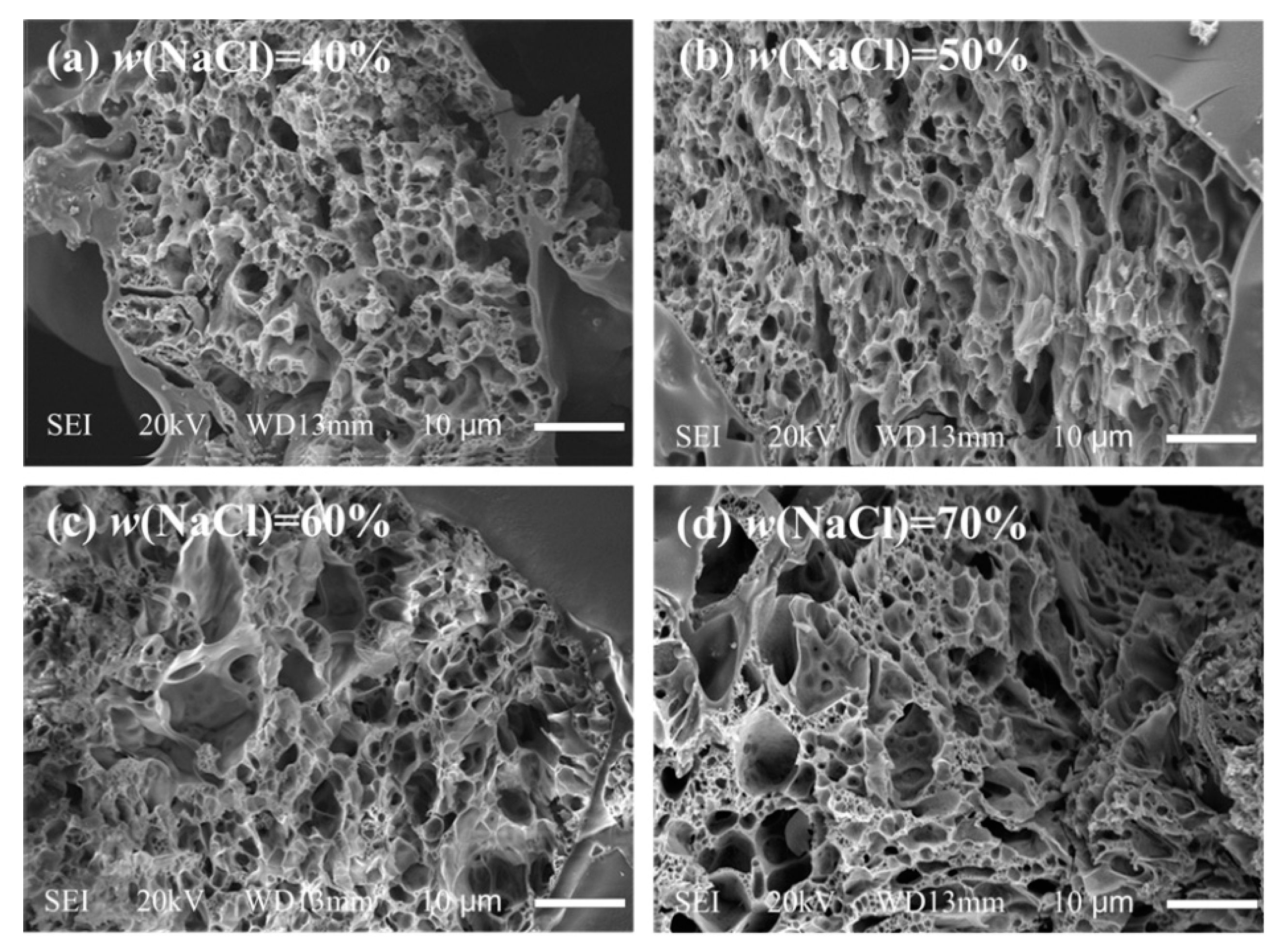 Materials 14 06065 g006