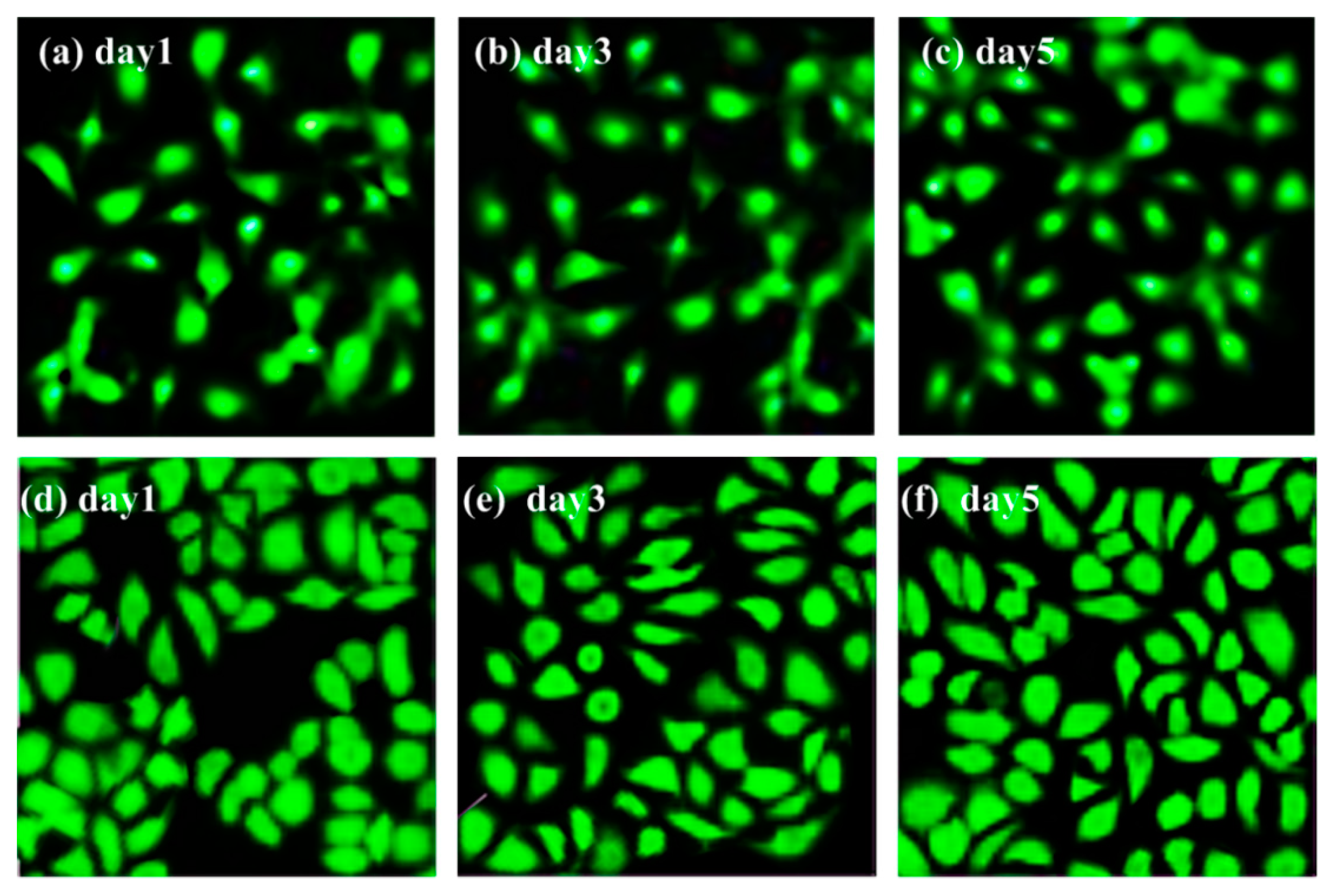 Materials 14 06065 g009