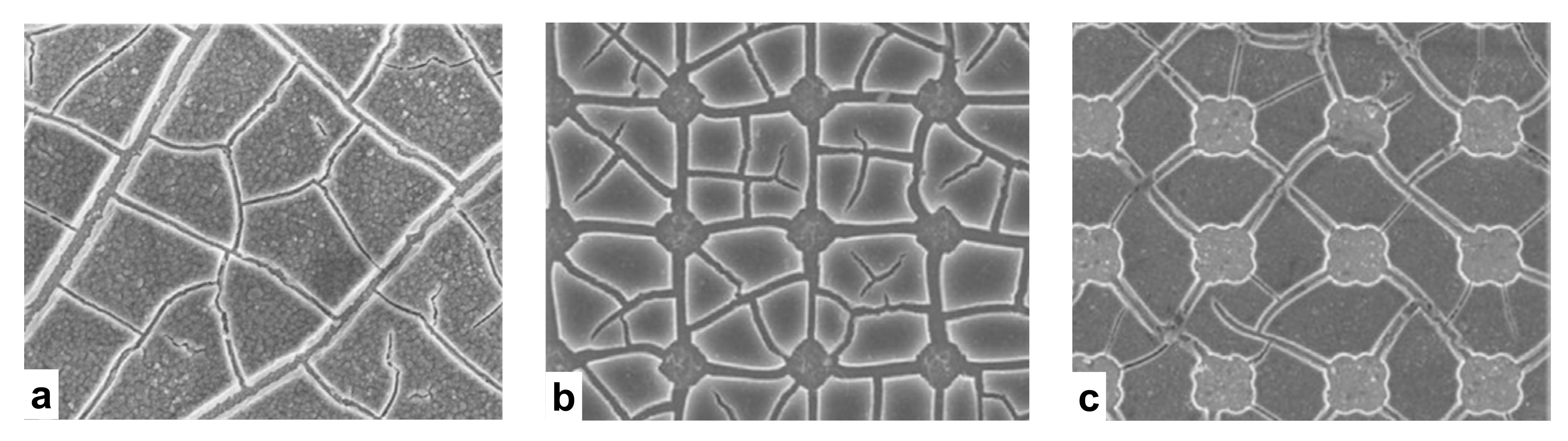 Materials 14 06081 g003