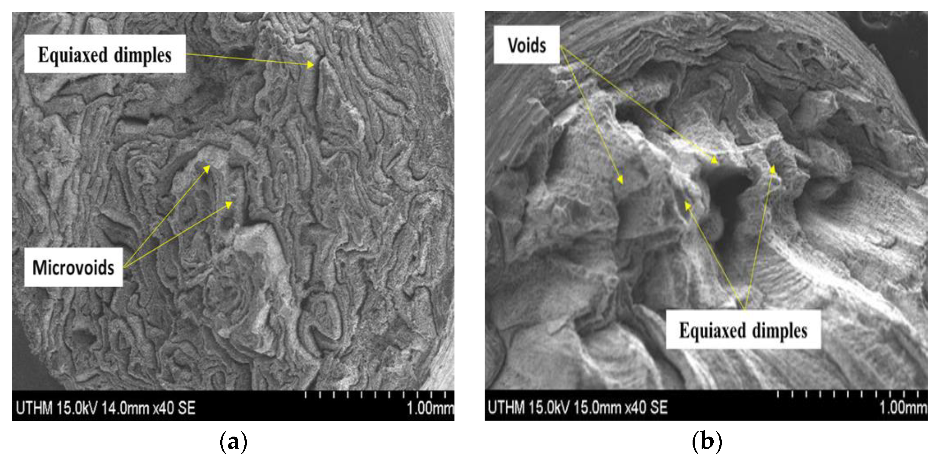 Materials 14 06102 g018a