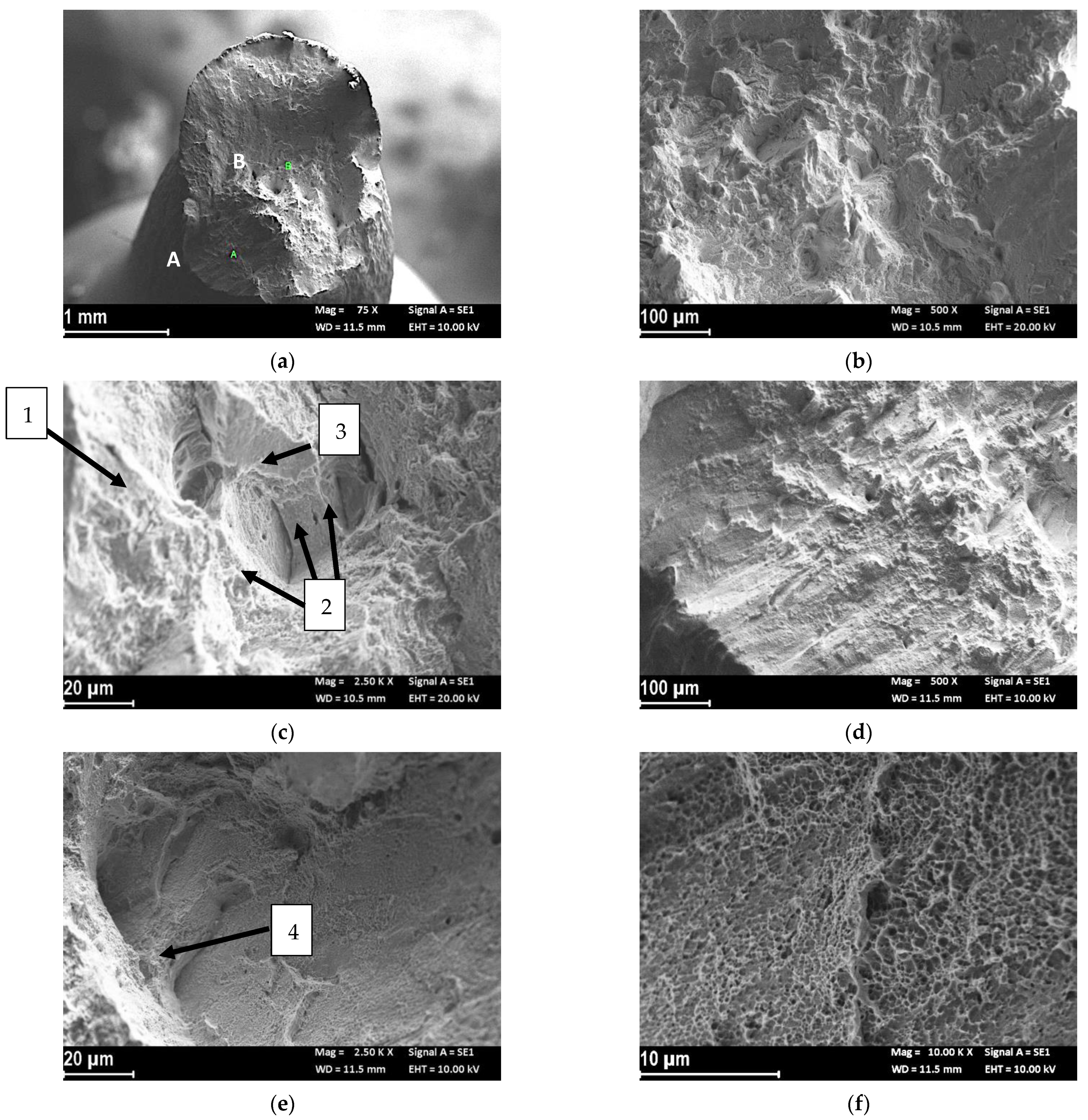 Materials 14 06115 g003