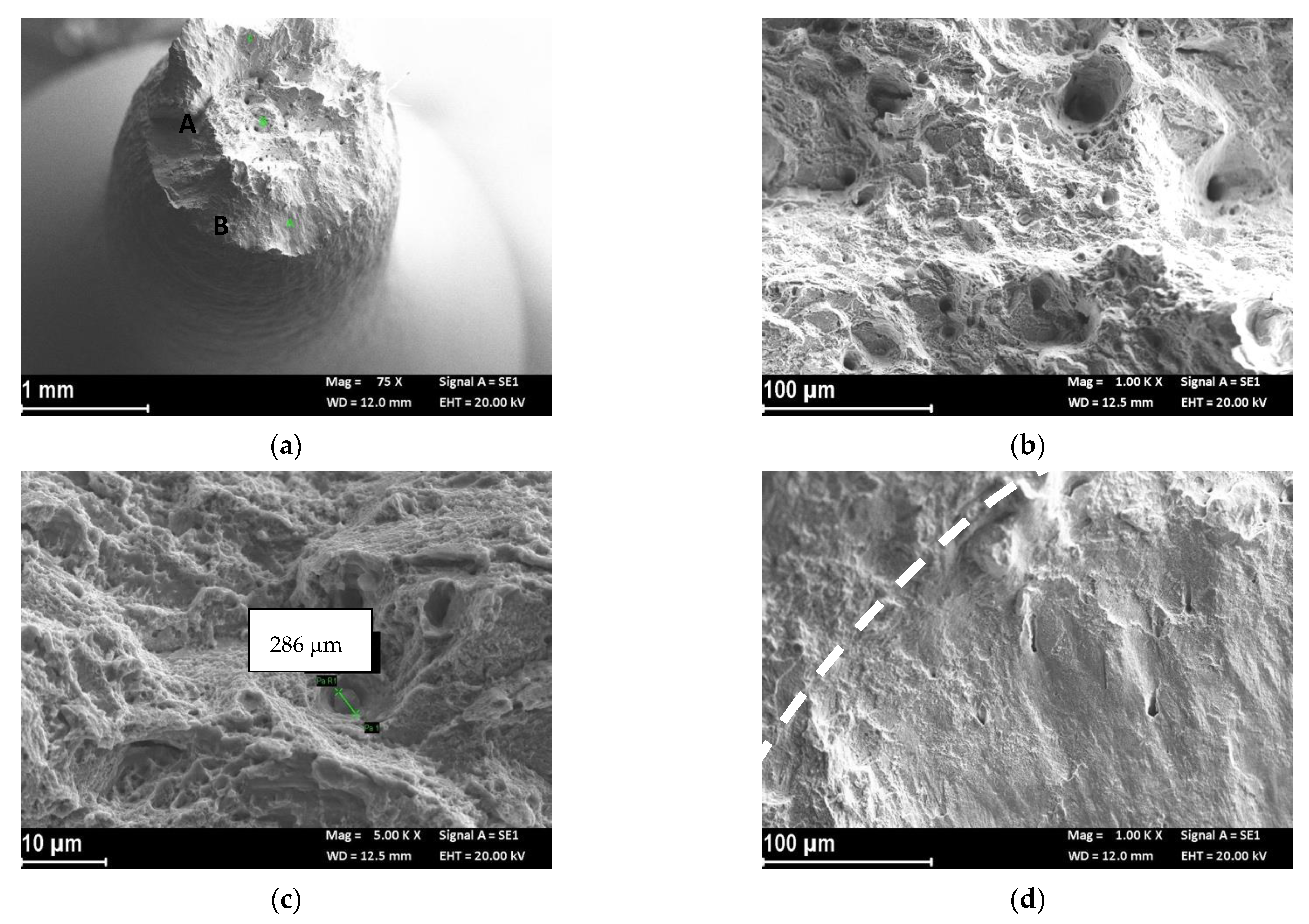 Materials 14 06115 g006