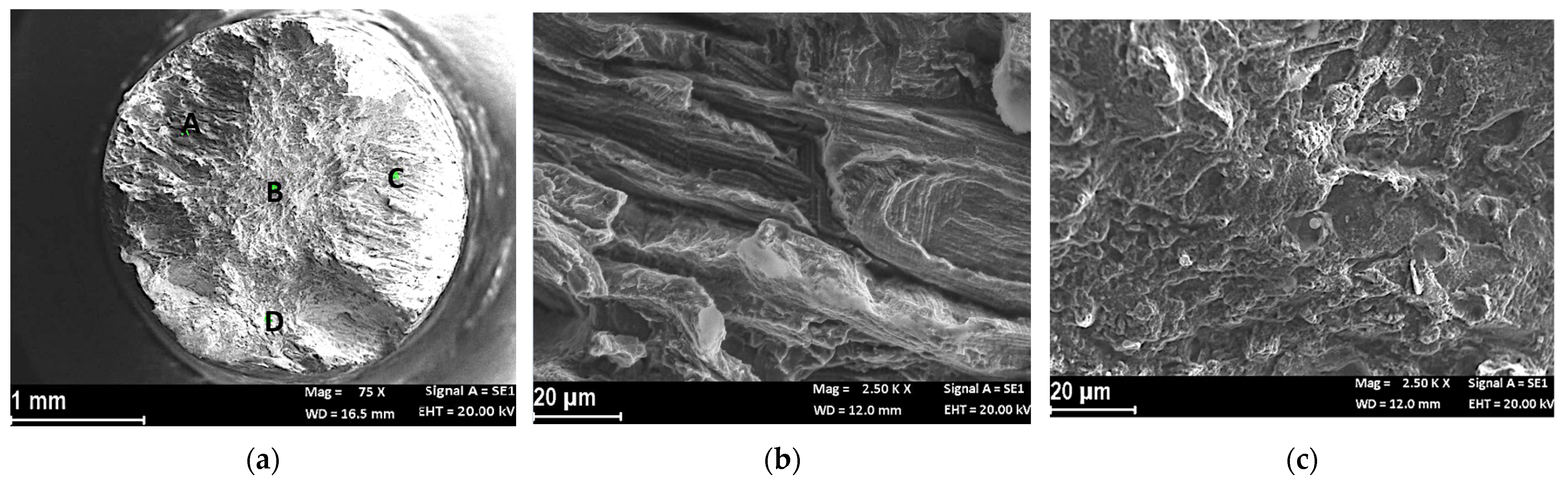 Materials 14 06115 g007