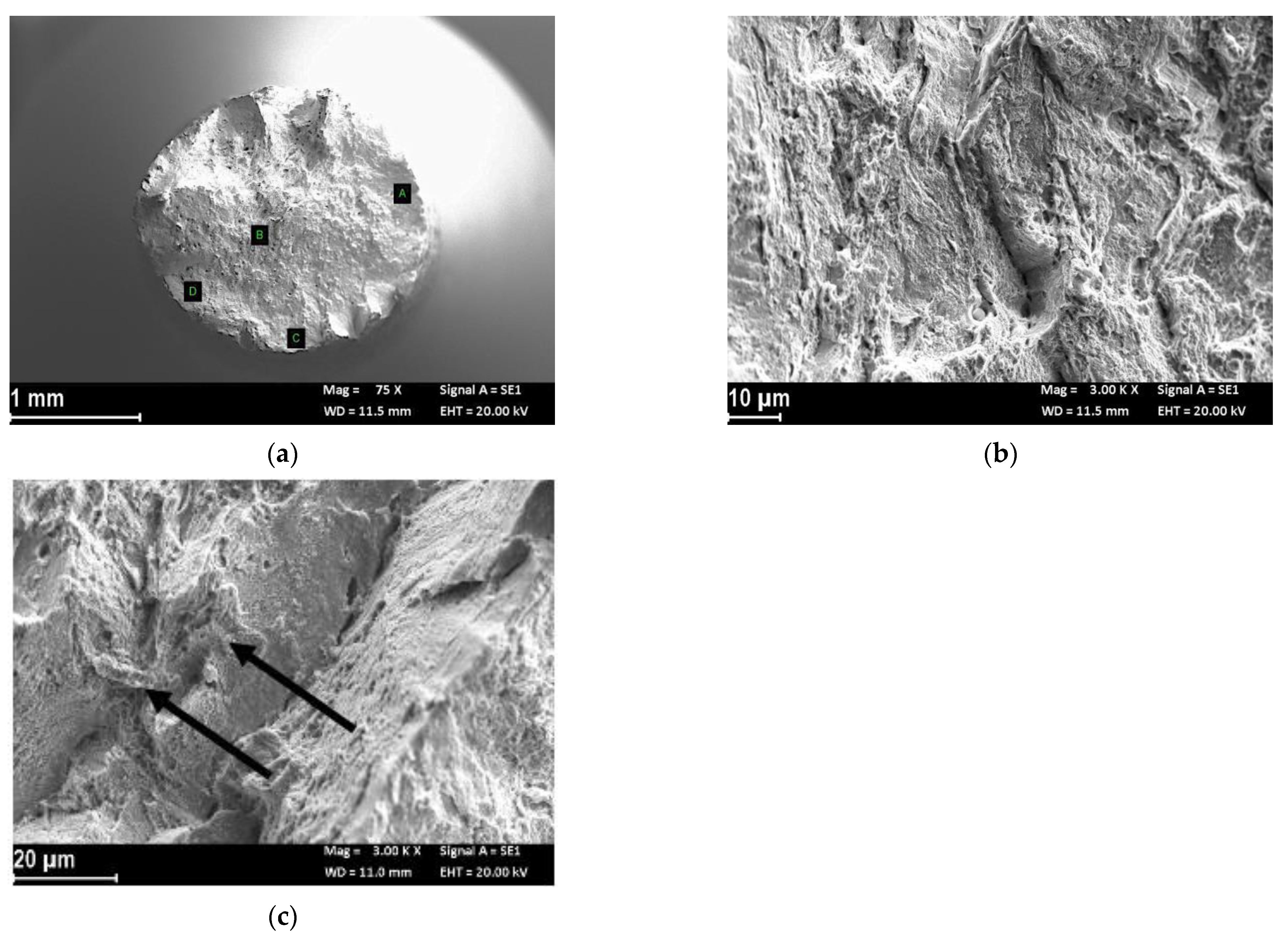 Materials 14 06115 g008