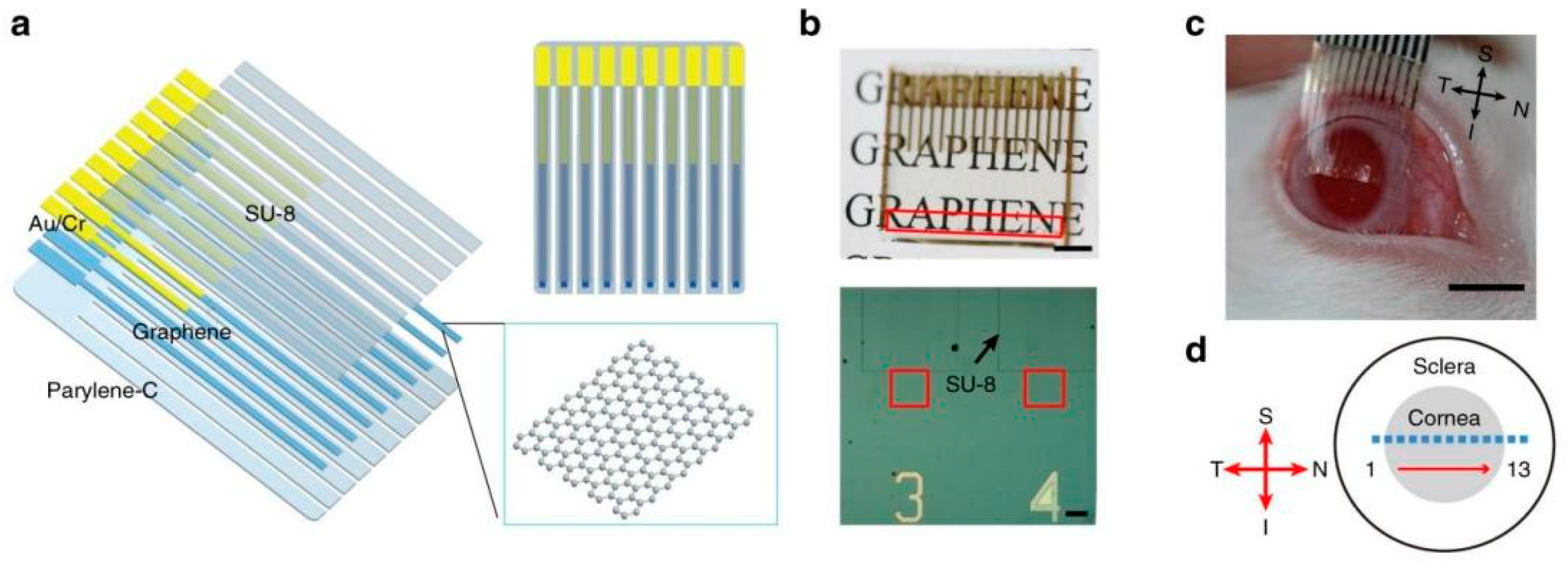 Materials 14 06170 g004