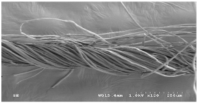Materials 14 06205 i021 Materials 14 06205 i021
