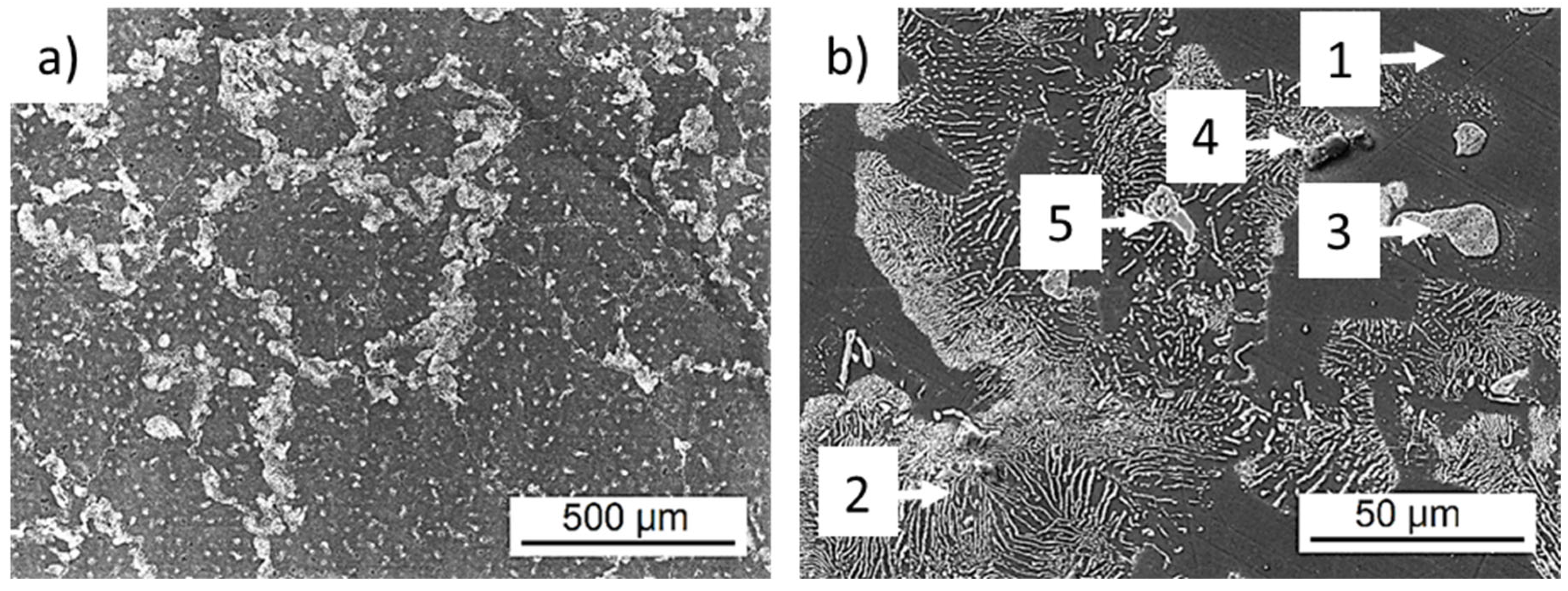 Materials 14 06245 g001