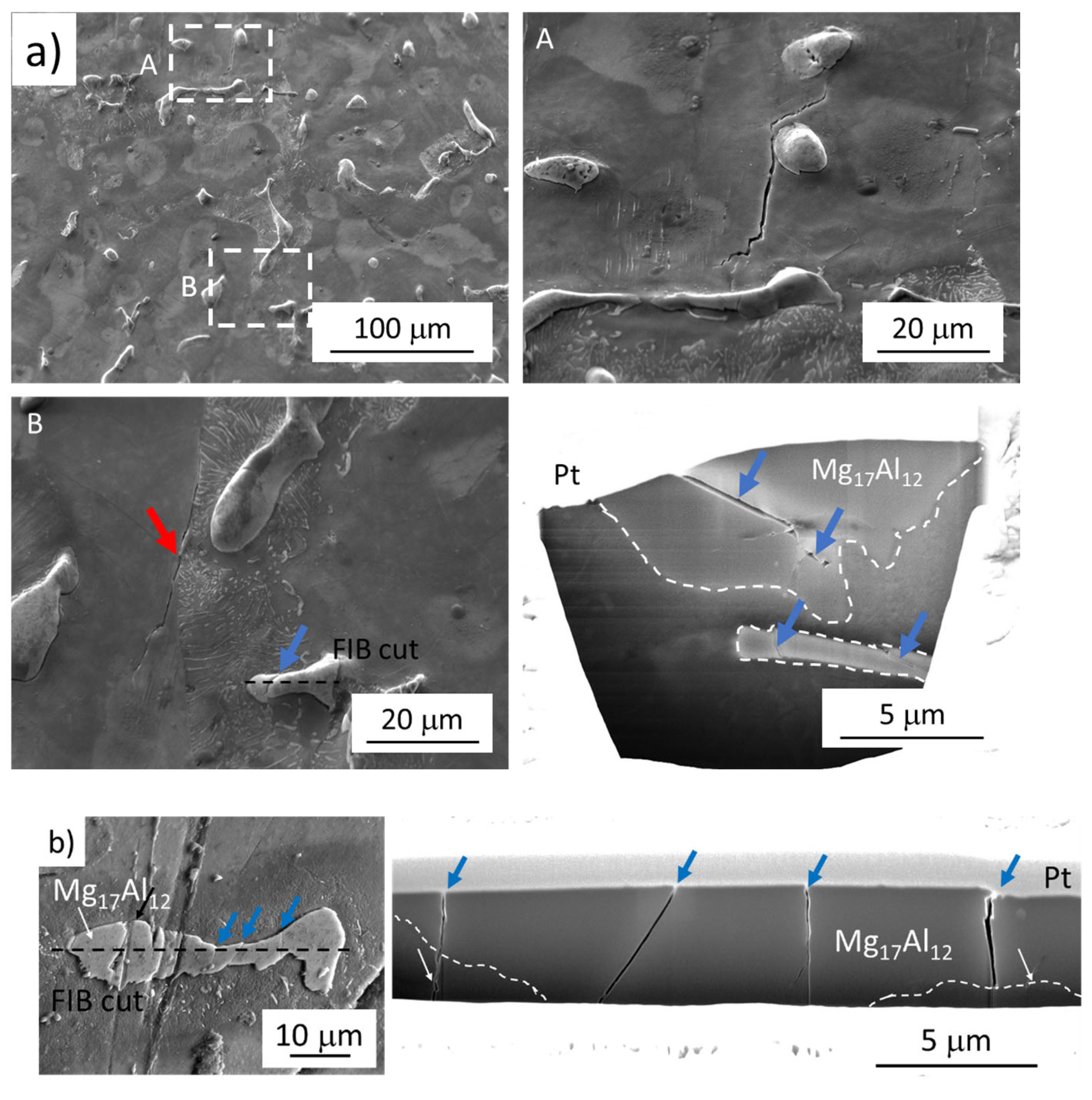 Materials 14 06245 g007