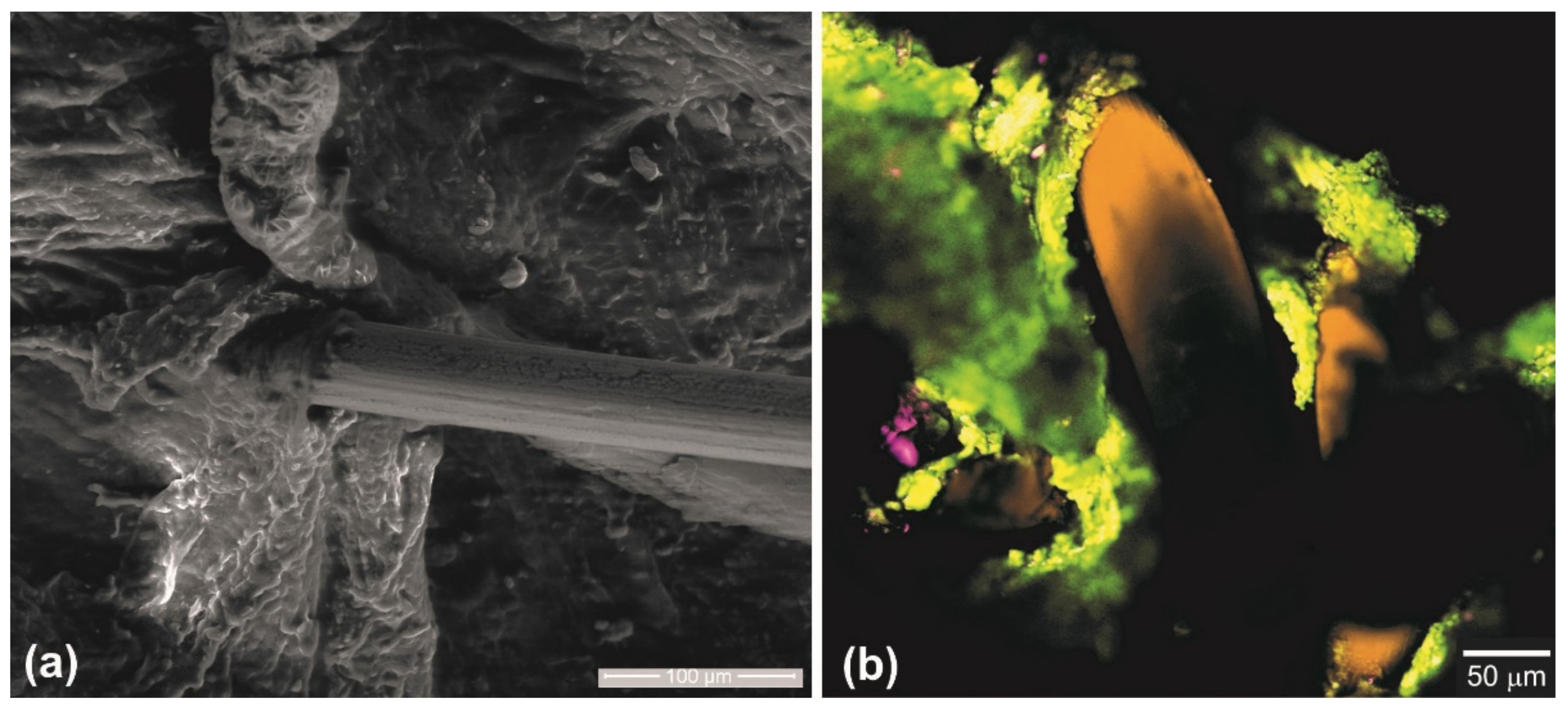 Materials 14 06256 g014