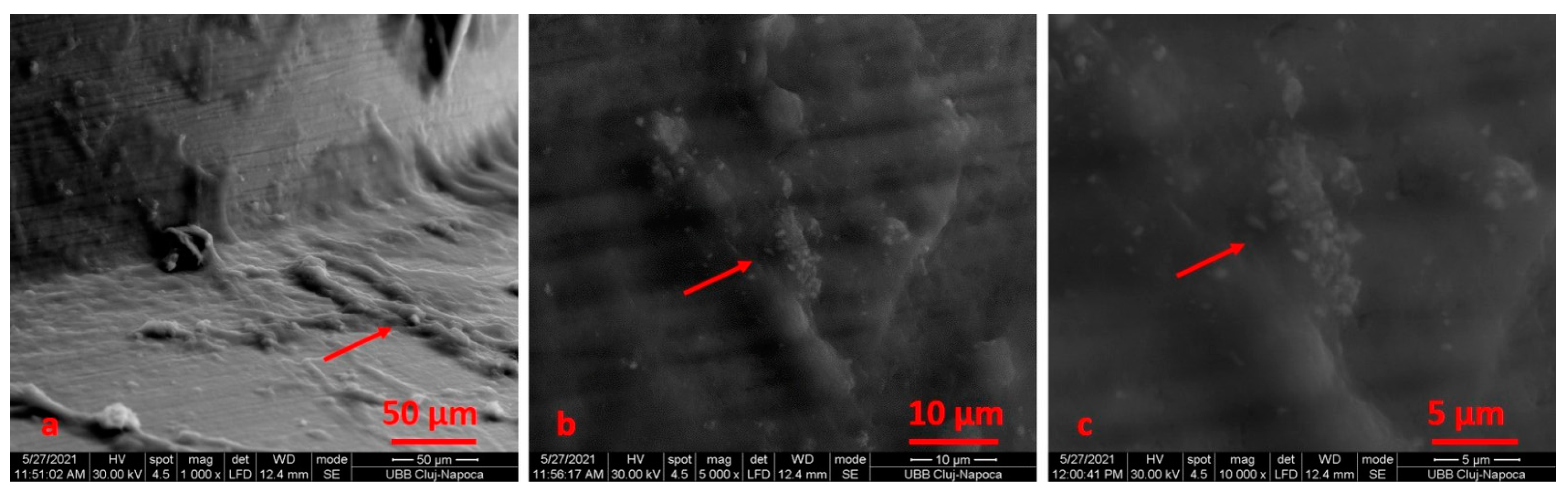 Materials 14 06271 g012 Materials 14 06271 g012