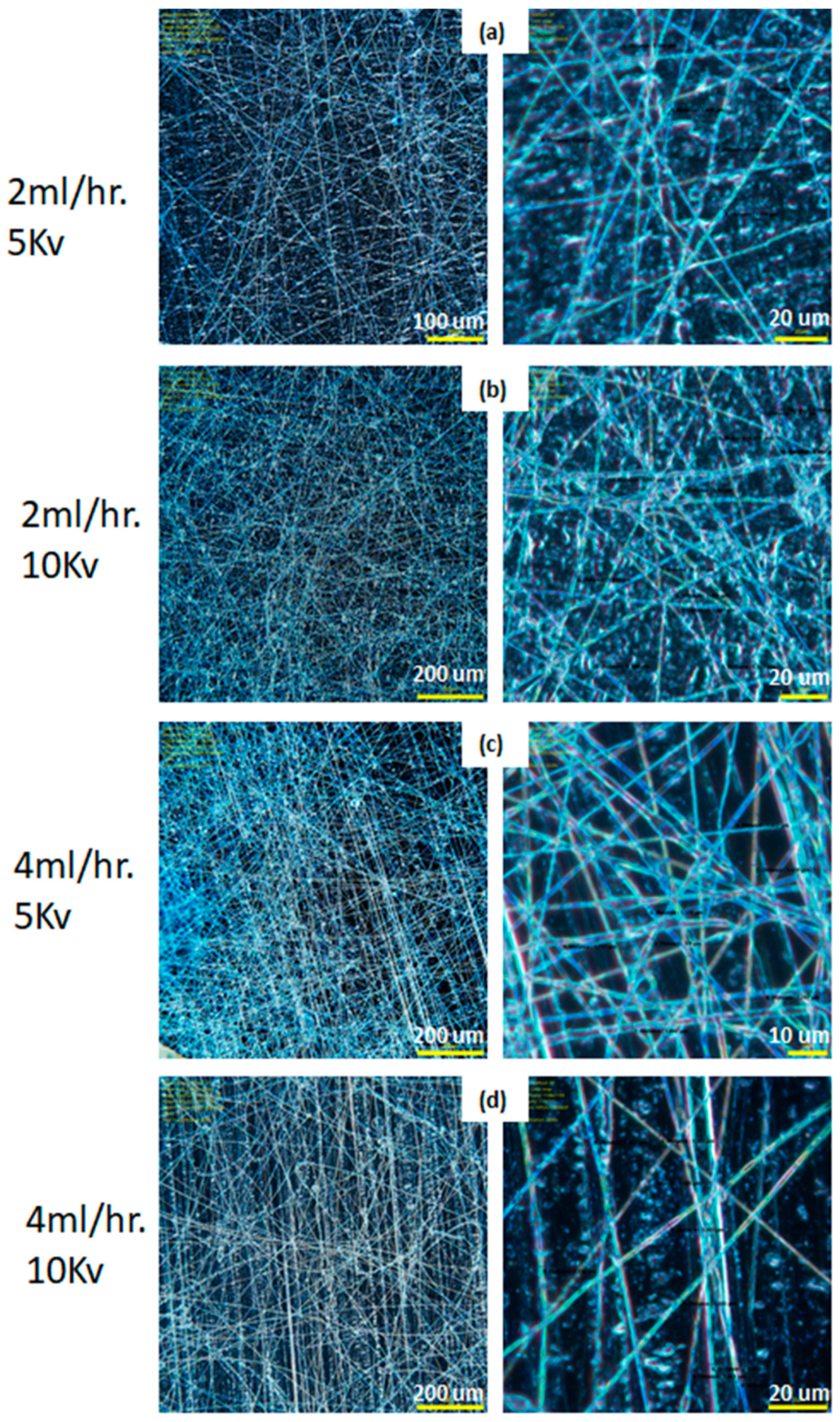 Materials 14 06288 g003