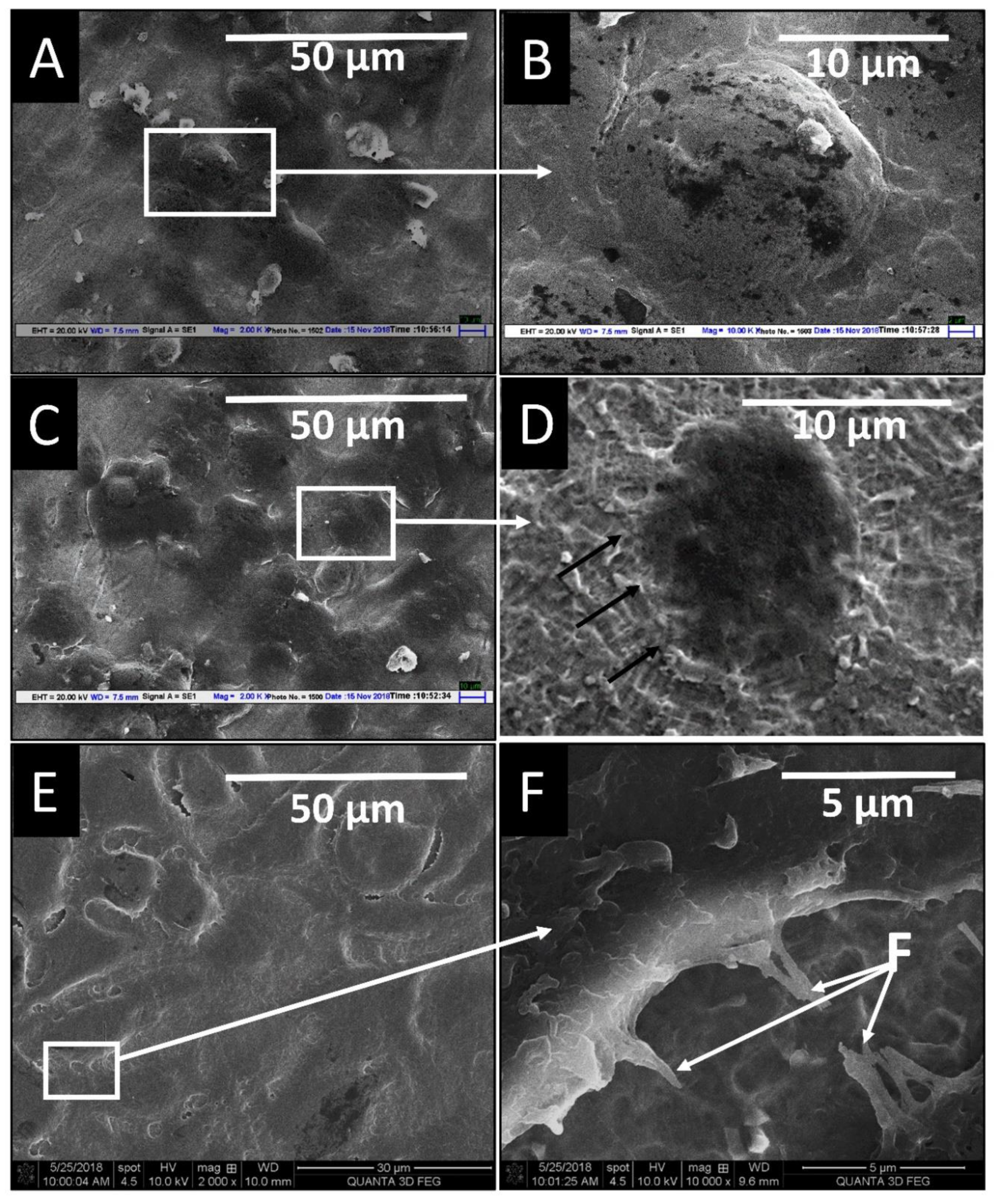 Materials 14 06344 g010