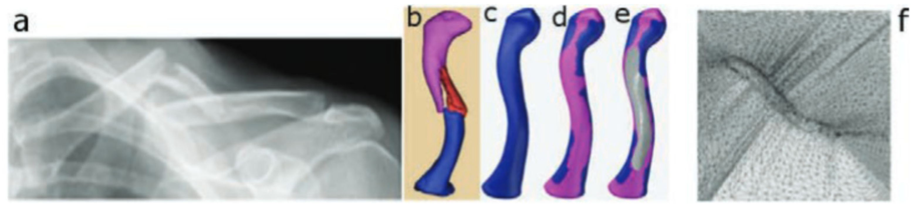 Materials 14 06372 g004